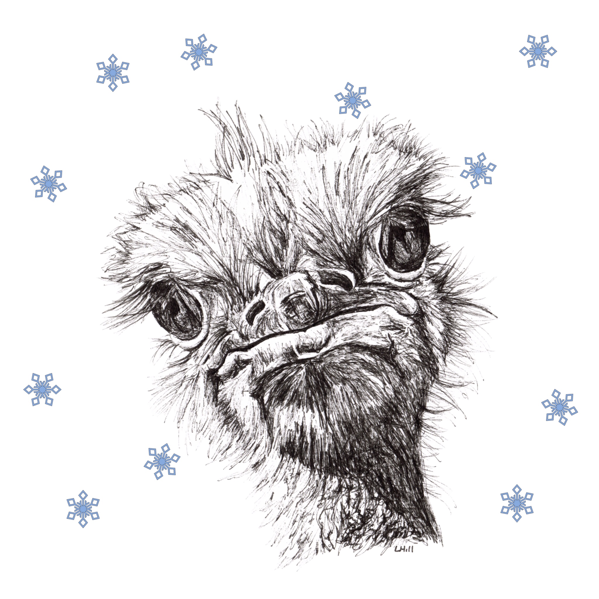 Ostrich with Santa hat Christmas card by Louisa Hill