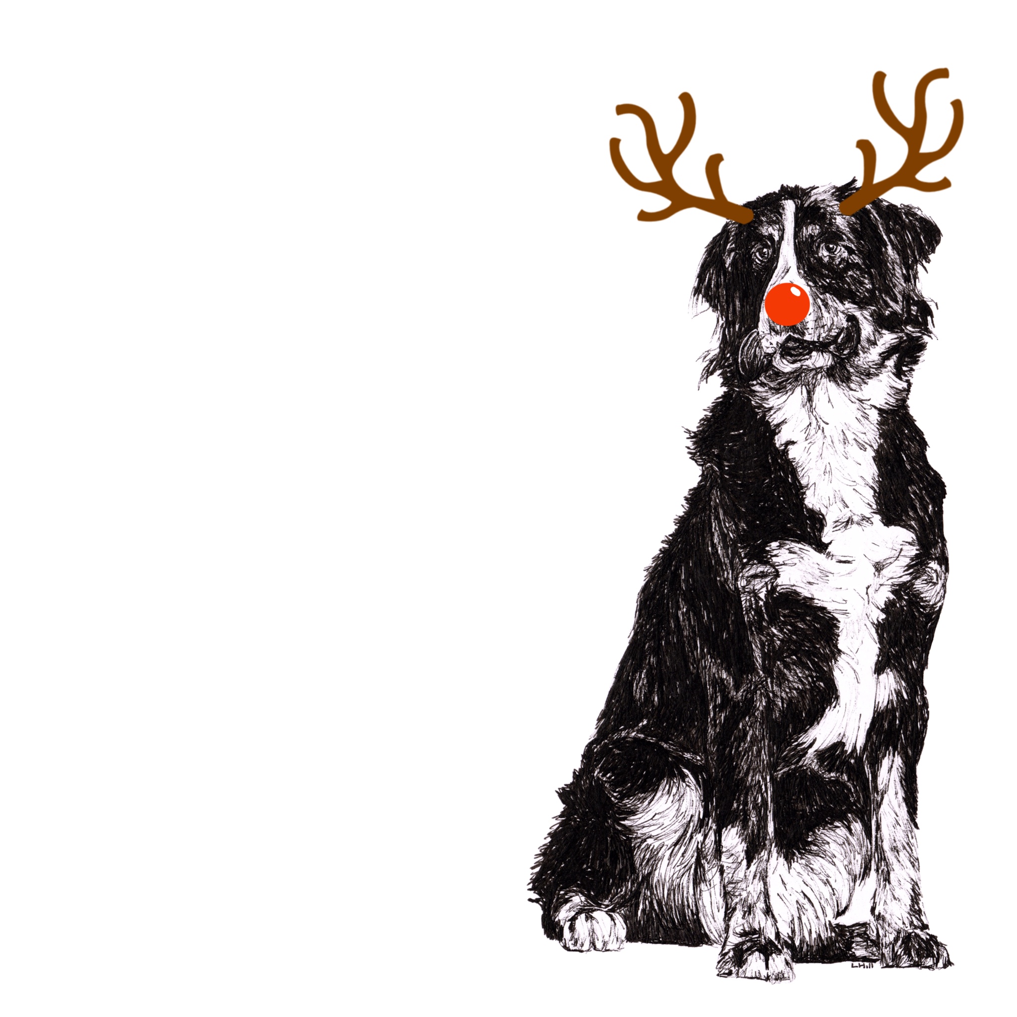 Young Bernese Mountain with reindeer antlers and red nose Christmas card by Louisa Hill