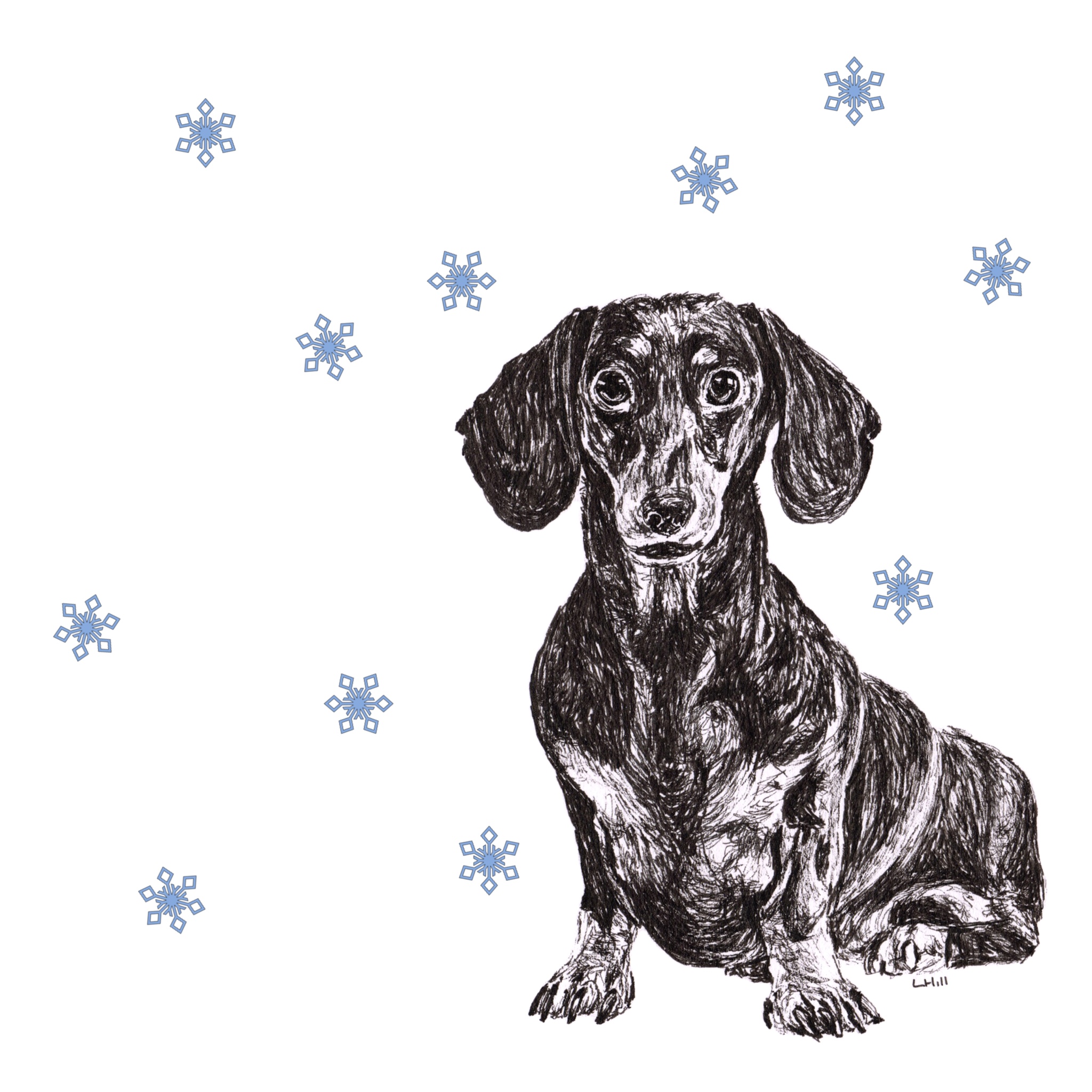 Dachshund in reindeer antler and red nose Christmas cards by Louisa Hill