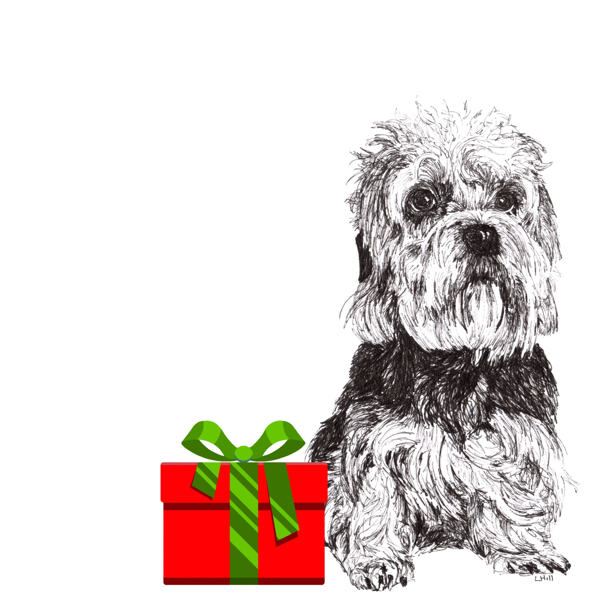 Dandie Dinmont Terrier with santa hat Christmas card by Louisa Hill