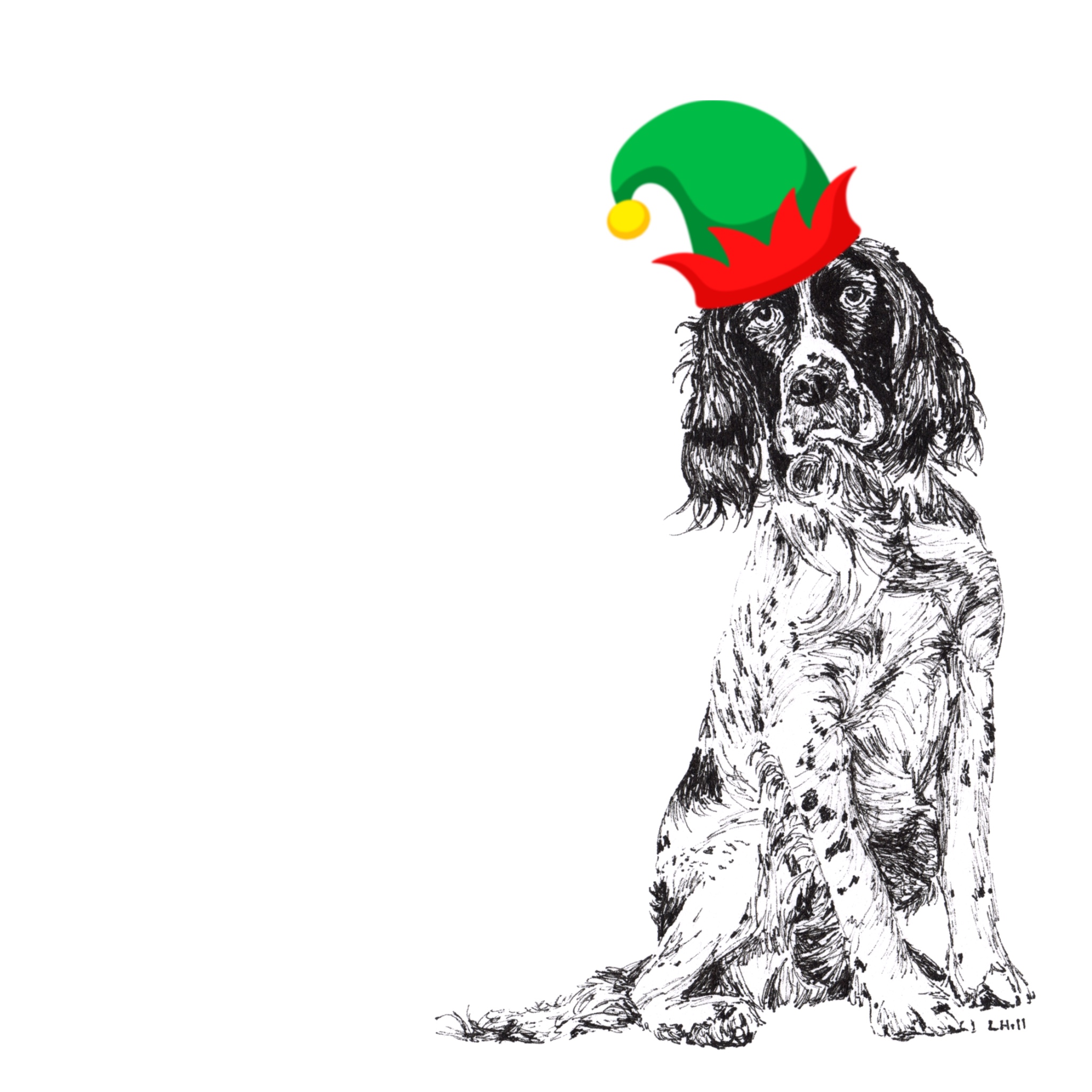 Springer Spaniel with Santa hat Christmas card by Louisa Hill