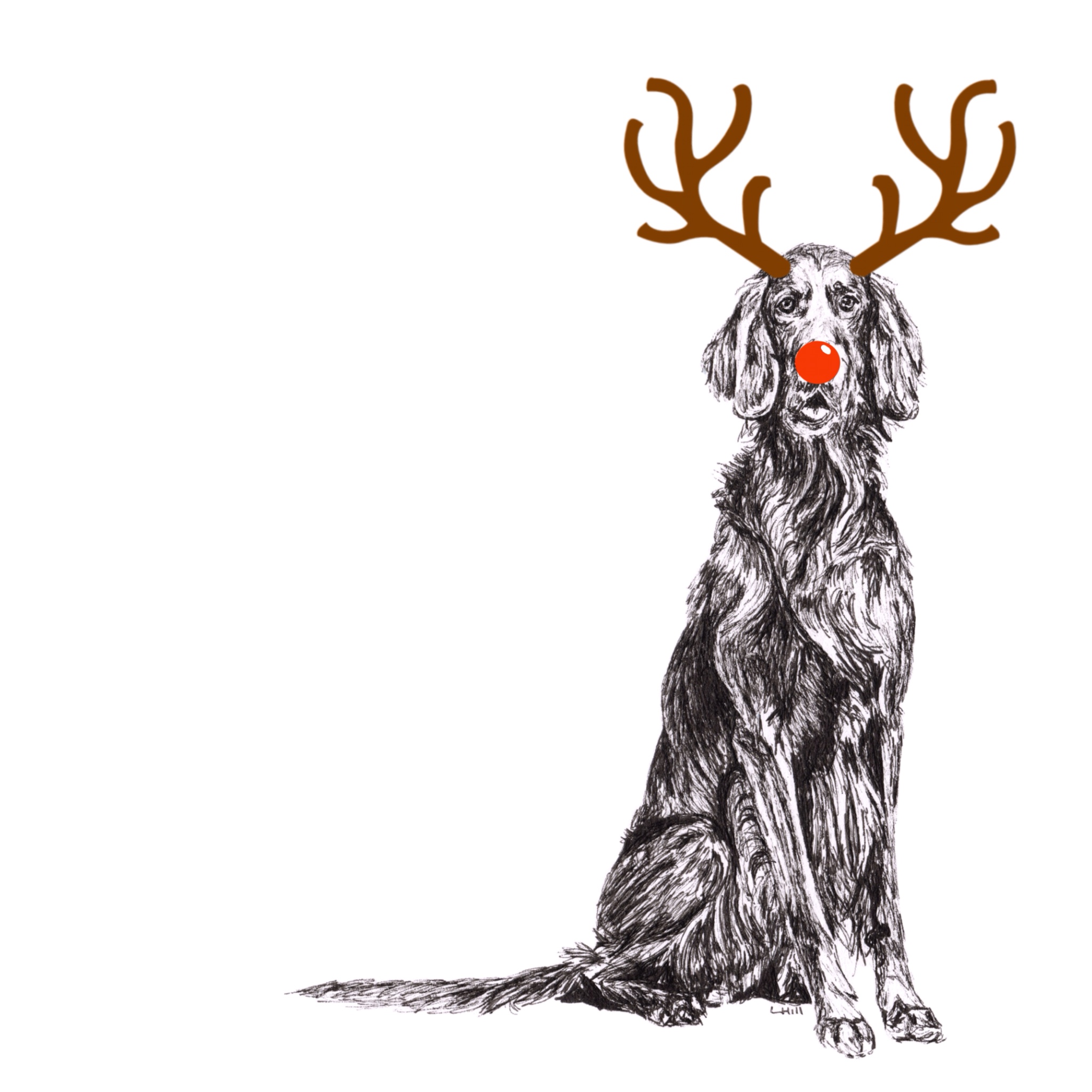 English Setter with reindeer antlers and red nose Christmas card by Louisa Hill