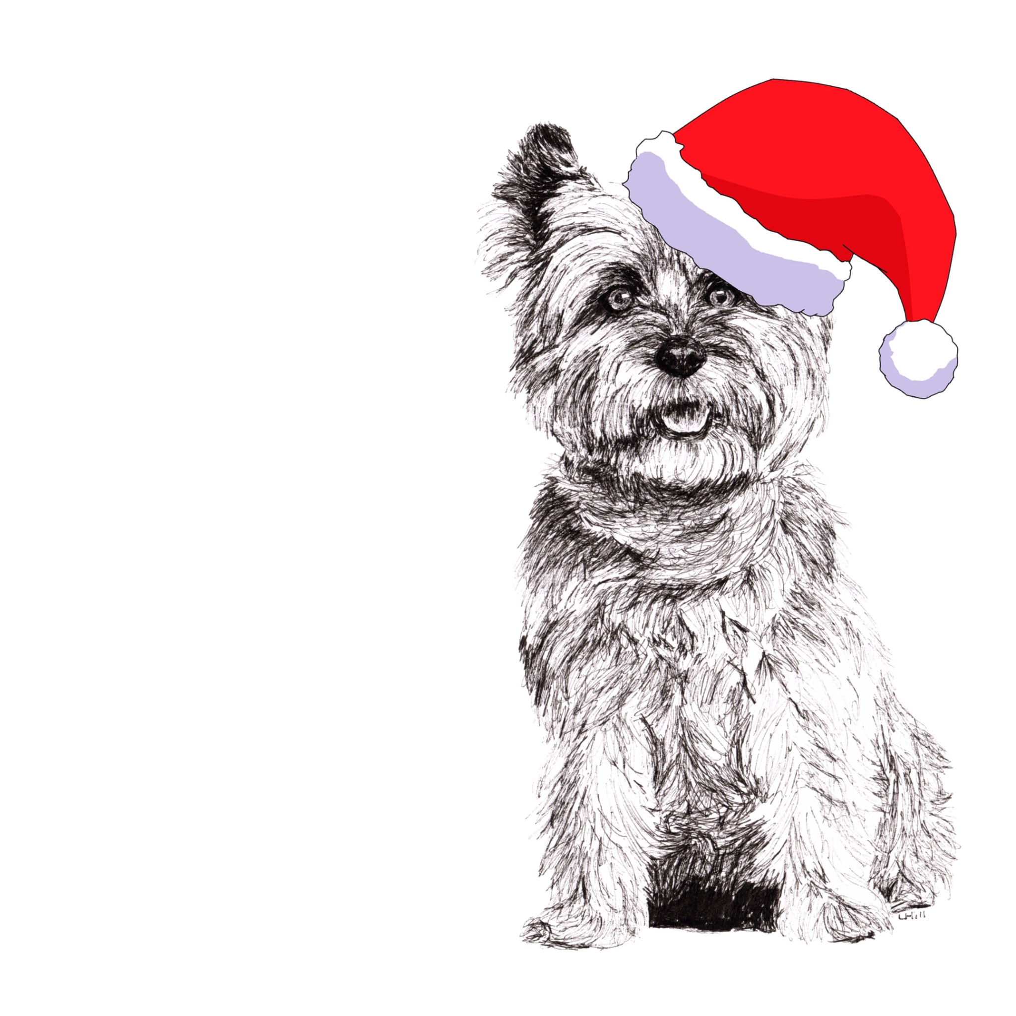 Cairn Terrier with Santa hat Christmas card by Louisa Hill