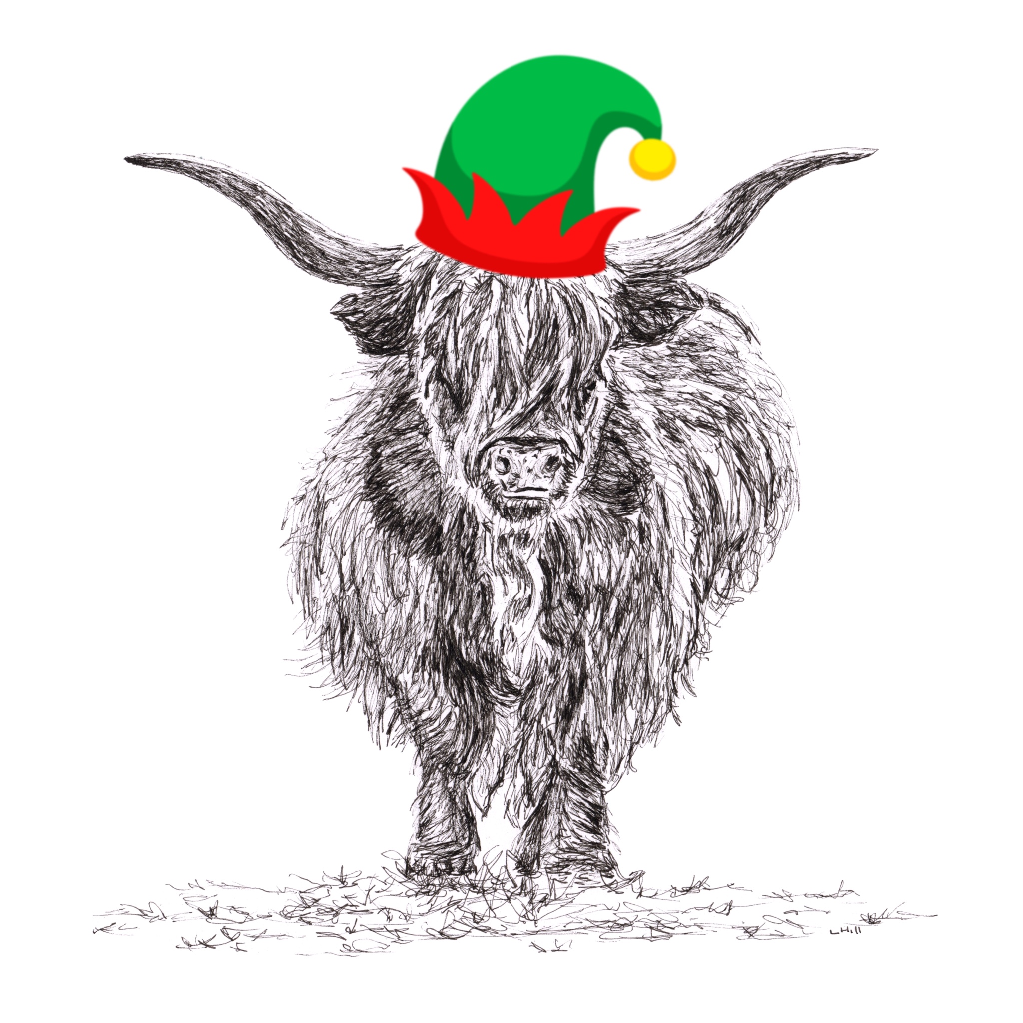 Highland Cattle with santa hat Christmas card by Louisa Hill