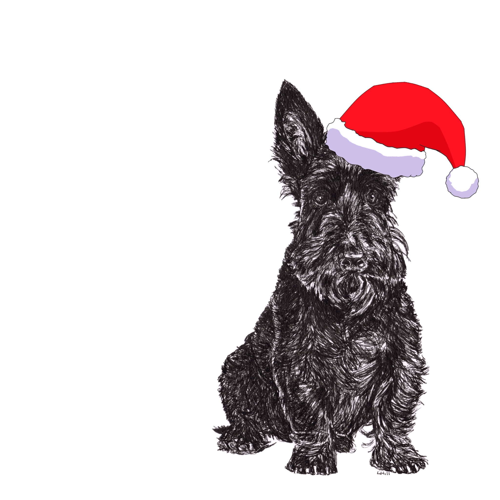 Scottish Terrier with Santa hat Christmas card by Louisa Hill