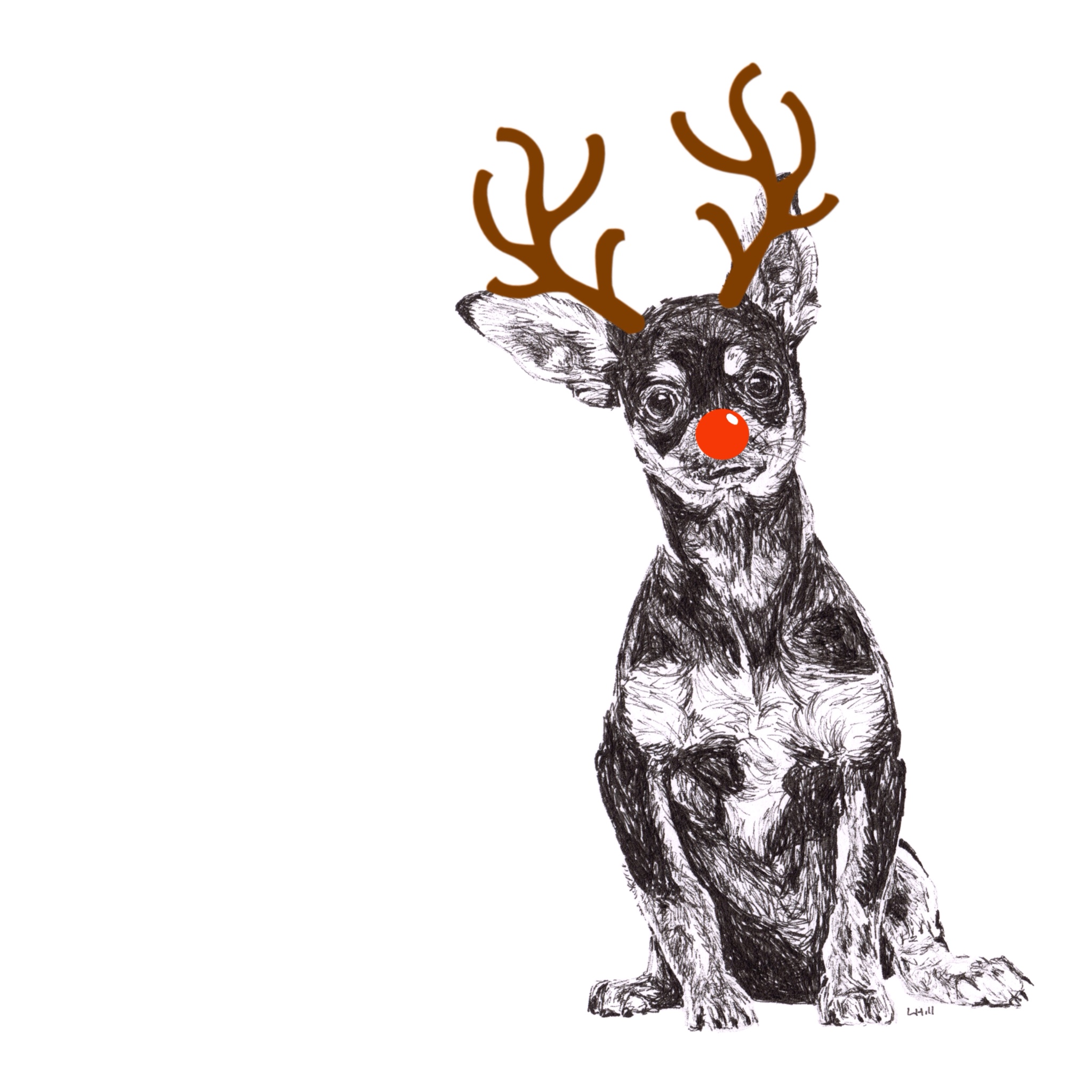 Chihuahua with reindeer antlers and red nose Christmas card by Louisa Hill