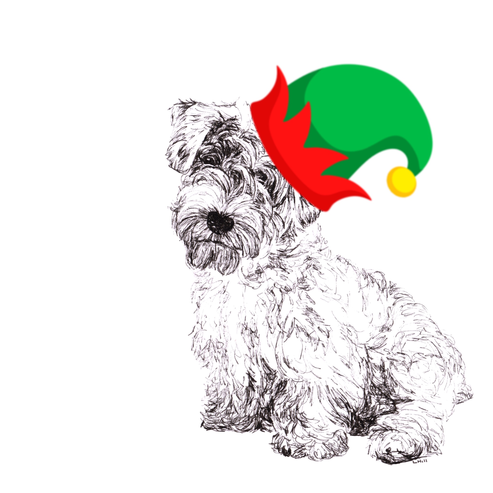 Sealyham Terrier with Santa hat Christmas card by Louisa Hill