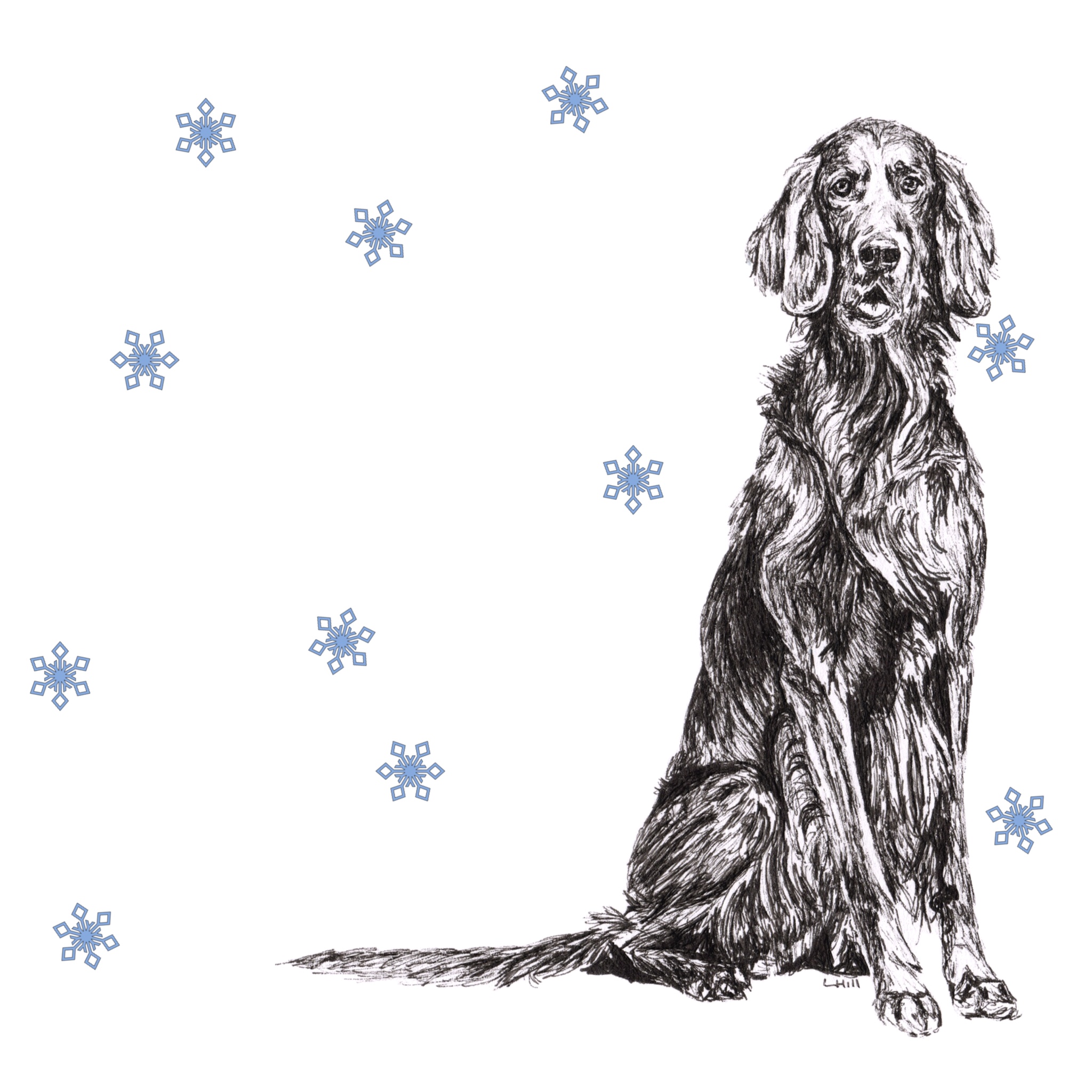 English Setter with reindeer antlers and red nose Christmas card by Louisa Hill