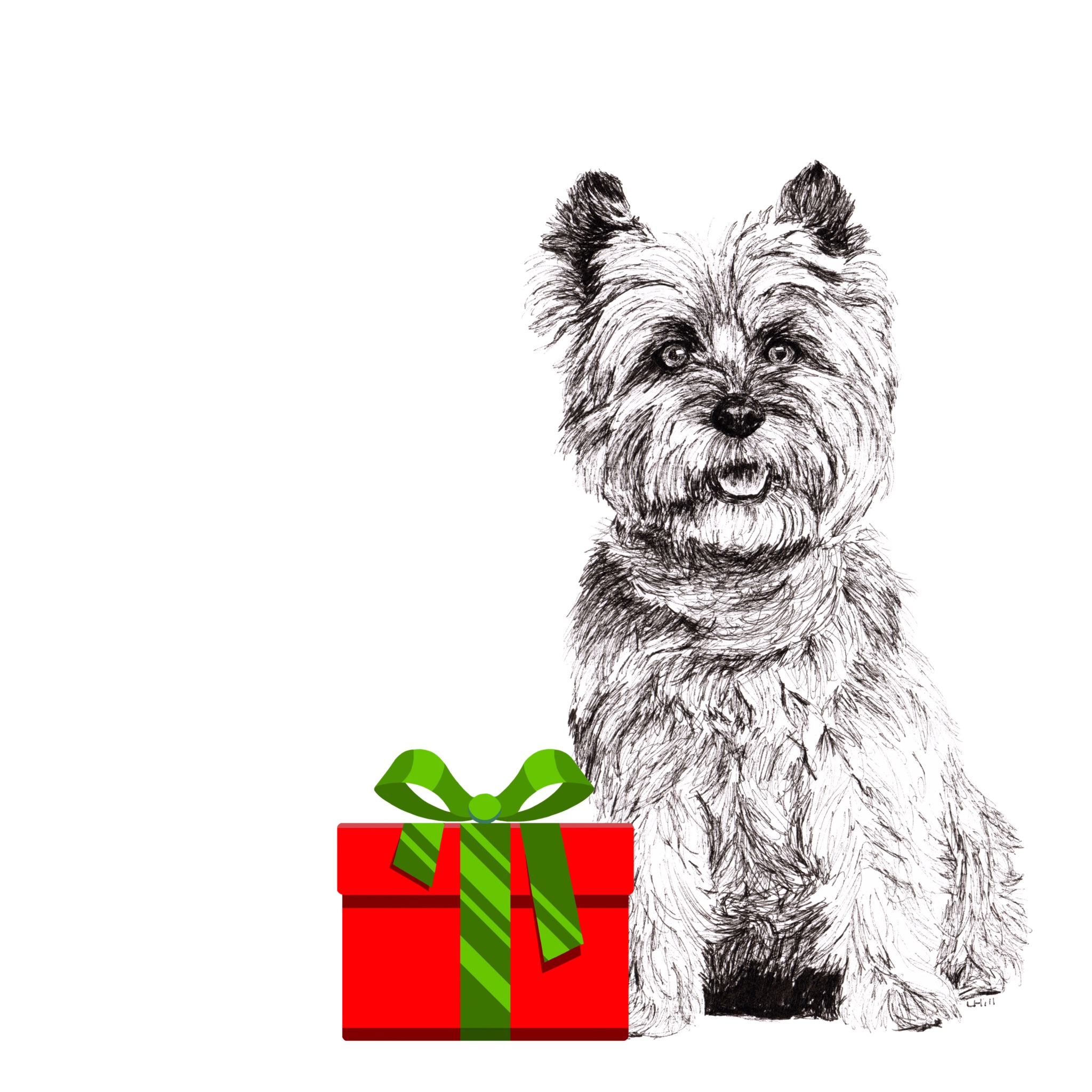 Cairn Terrier with Santa hat Christmas card by Louisa Hill