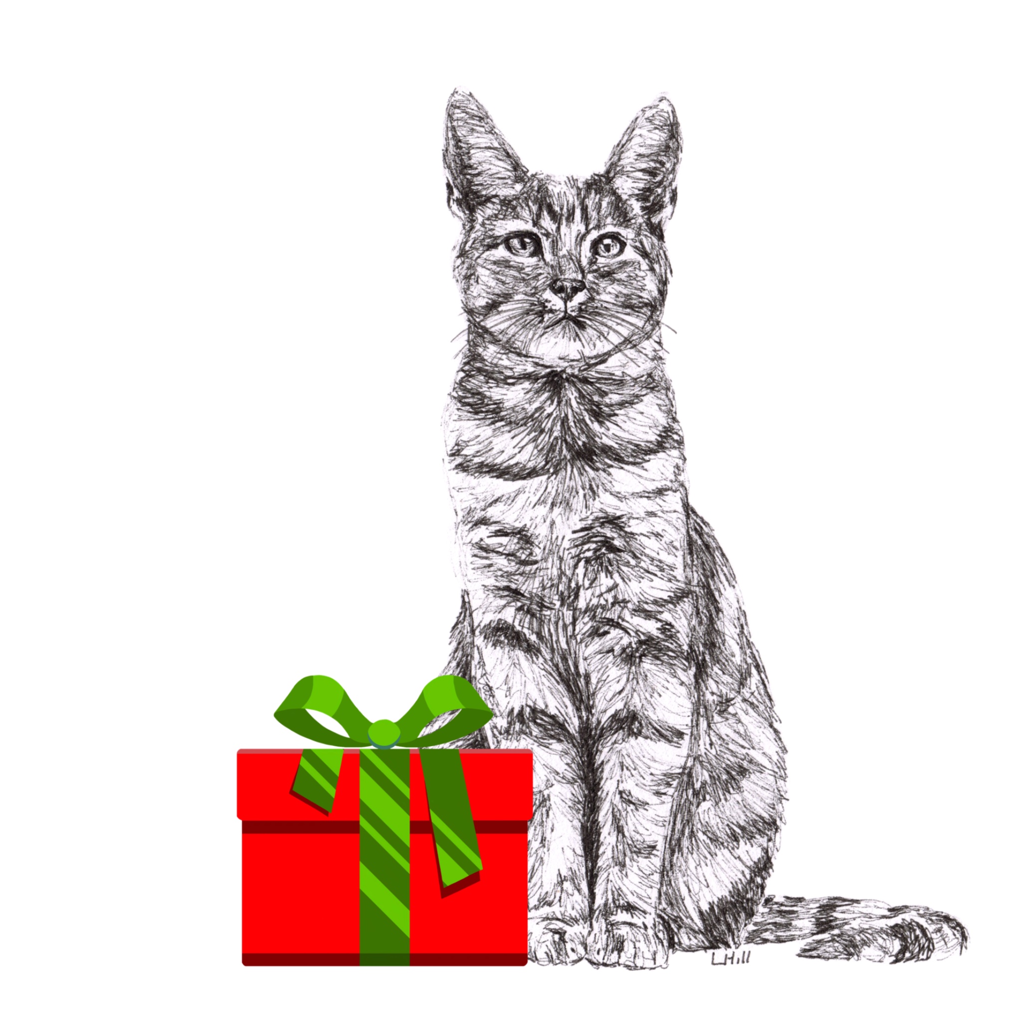 Tabby with Santa hat Christmas card by Louisa Hill