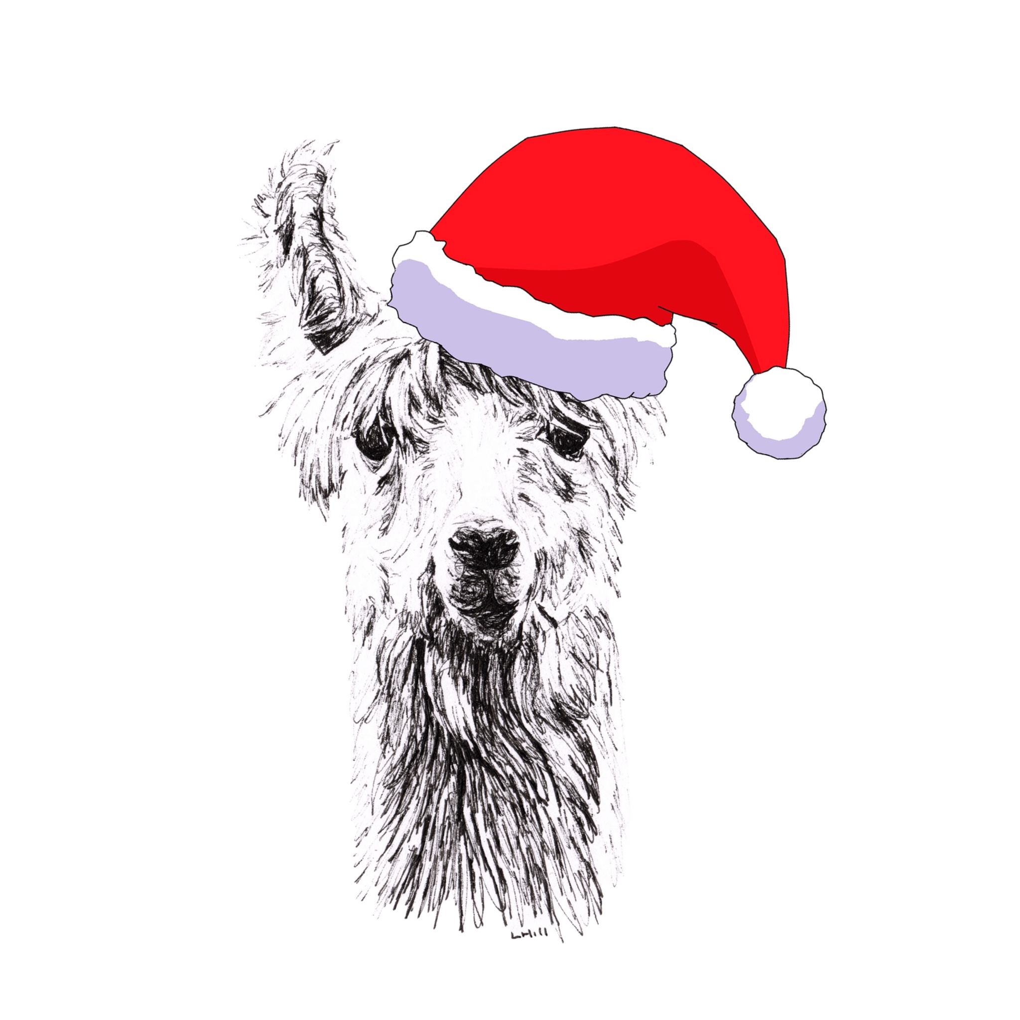 Llama with Santa hat Christmas card by Louisa Hill