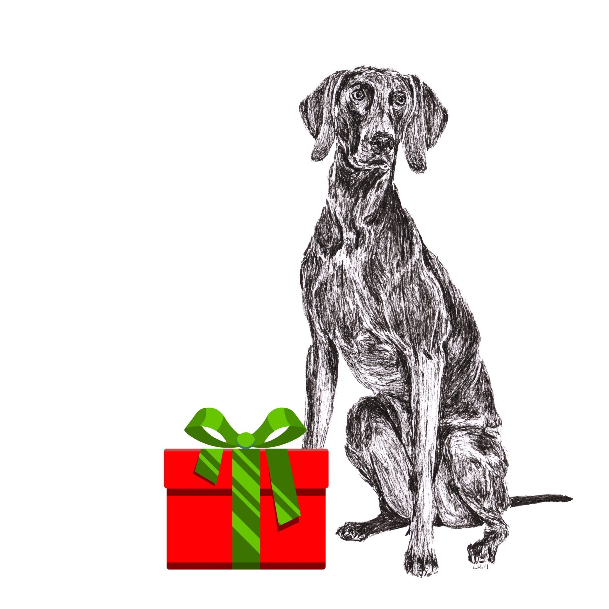 Weimaraner with Santa hat Christmas card by Louisa Hill