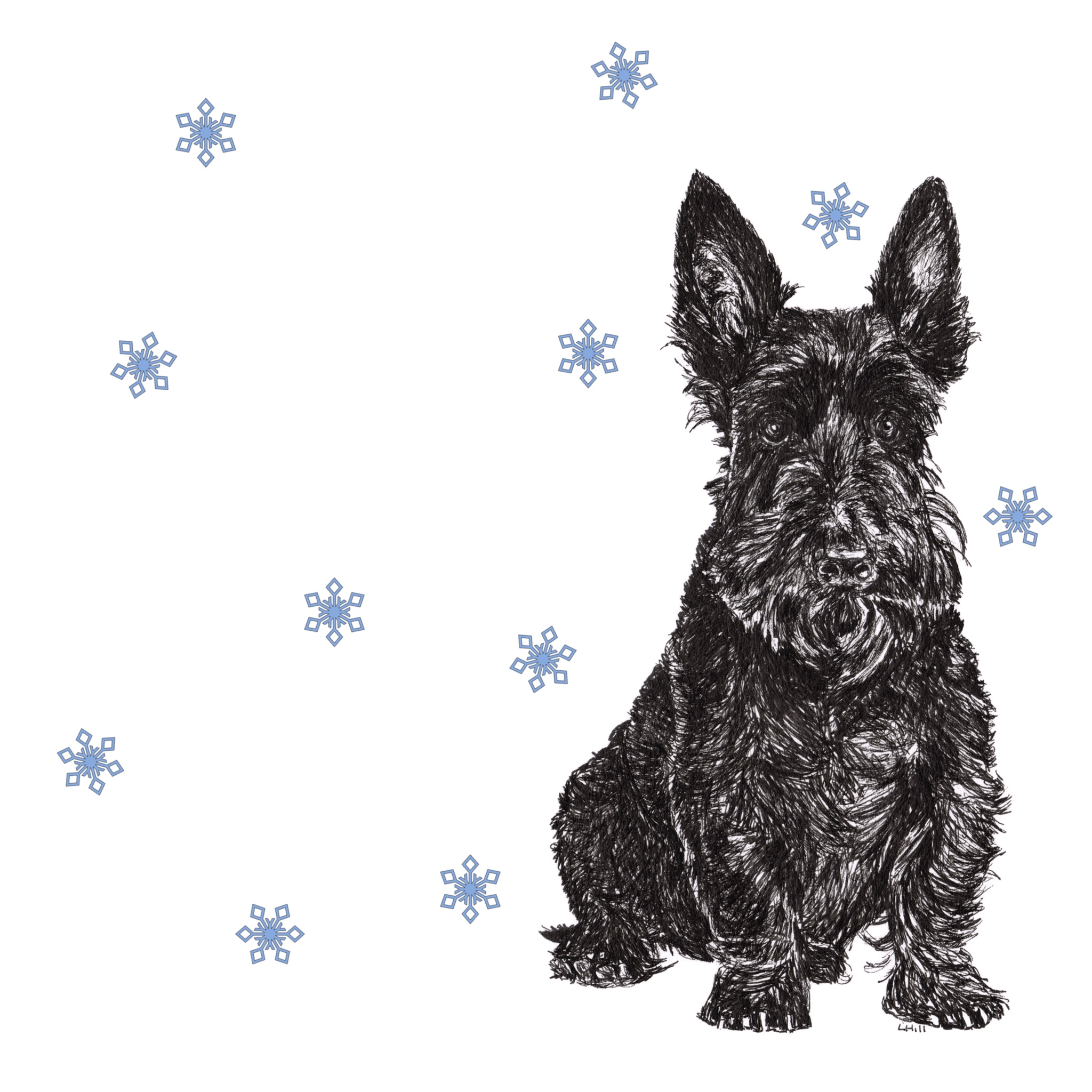 Scottish Terrier with reindeer antlers and red noseChristmas card by Louisa Hill