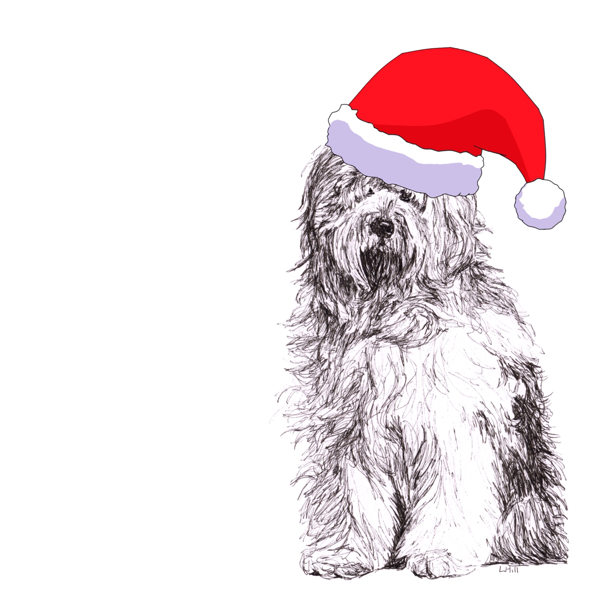 Old English Sheepdog with reindeer antlers and red nose Christmas card by Louisa Hill