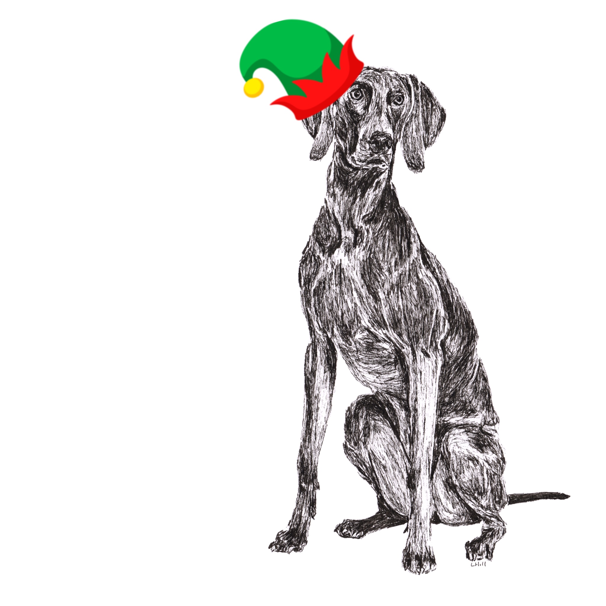 Weimaraner with Santa hat Christmas card by Louisa Hill