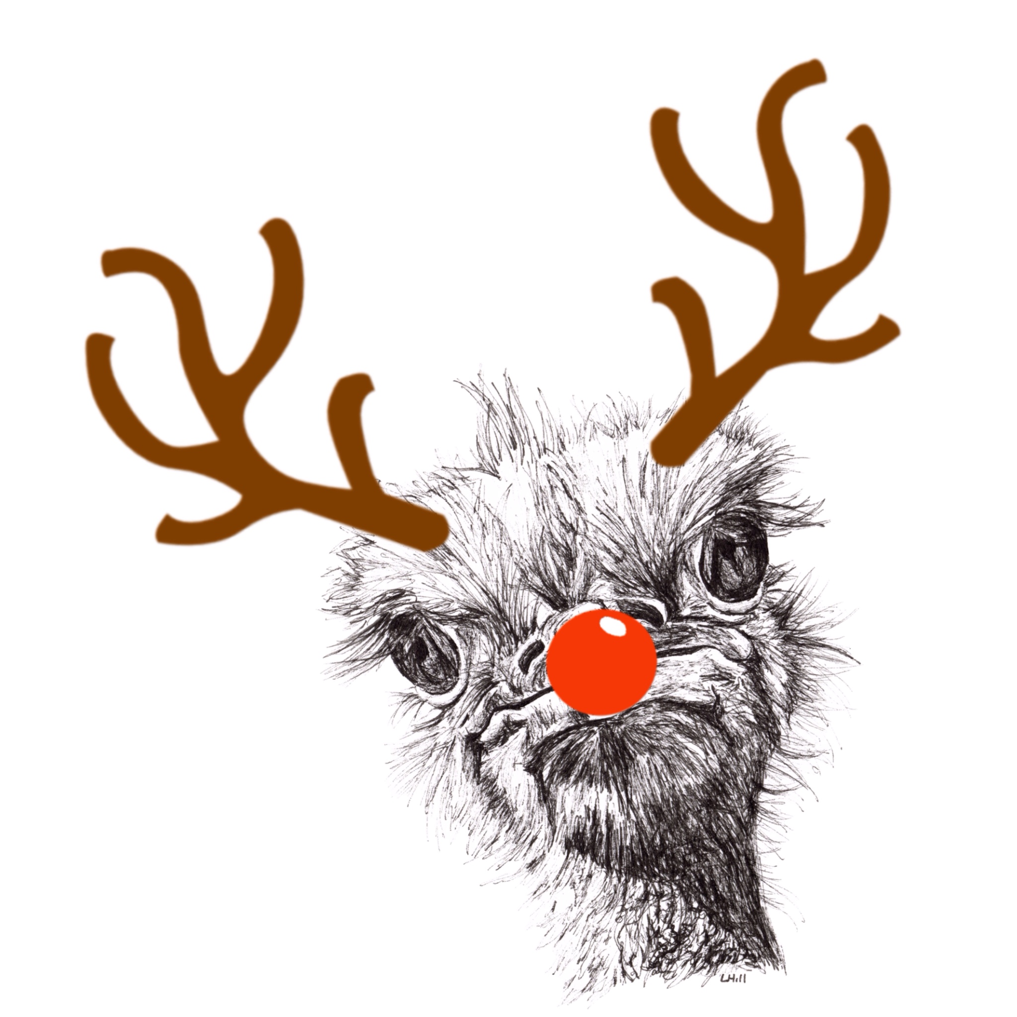 Ostrich with reindeer antlers and red nose Christmas card by Louisa Hill