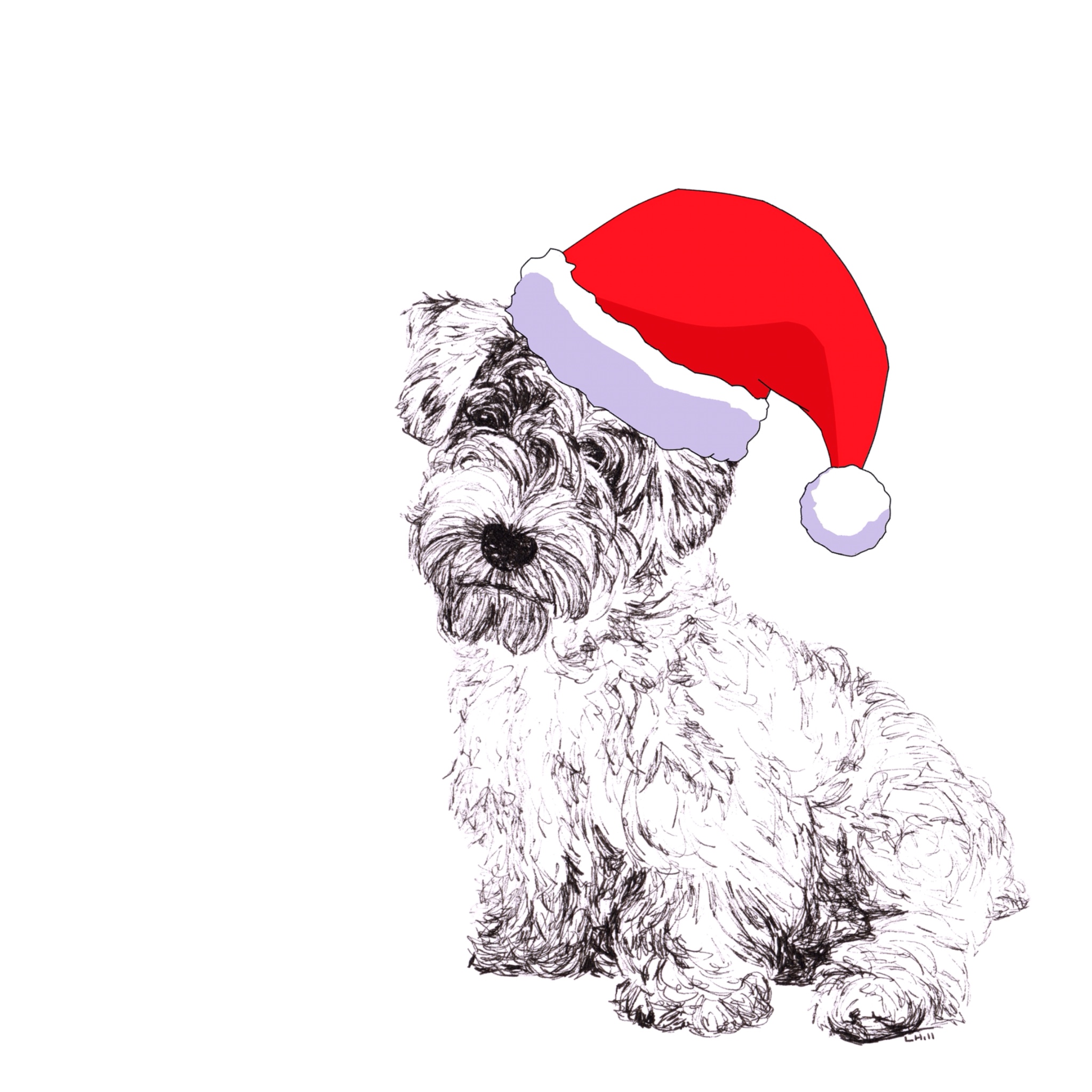 Sealyham Terrier with Santa hat Christmas card by Louisa Hill