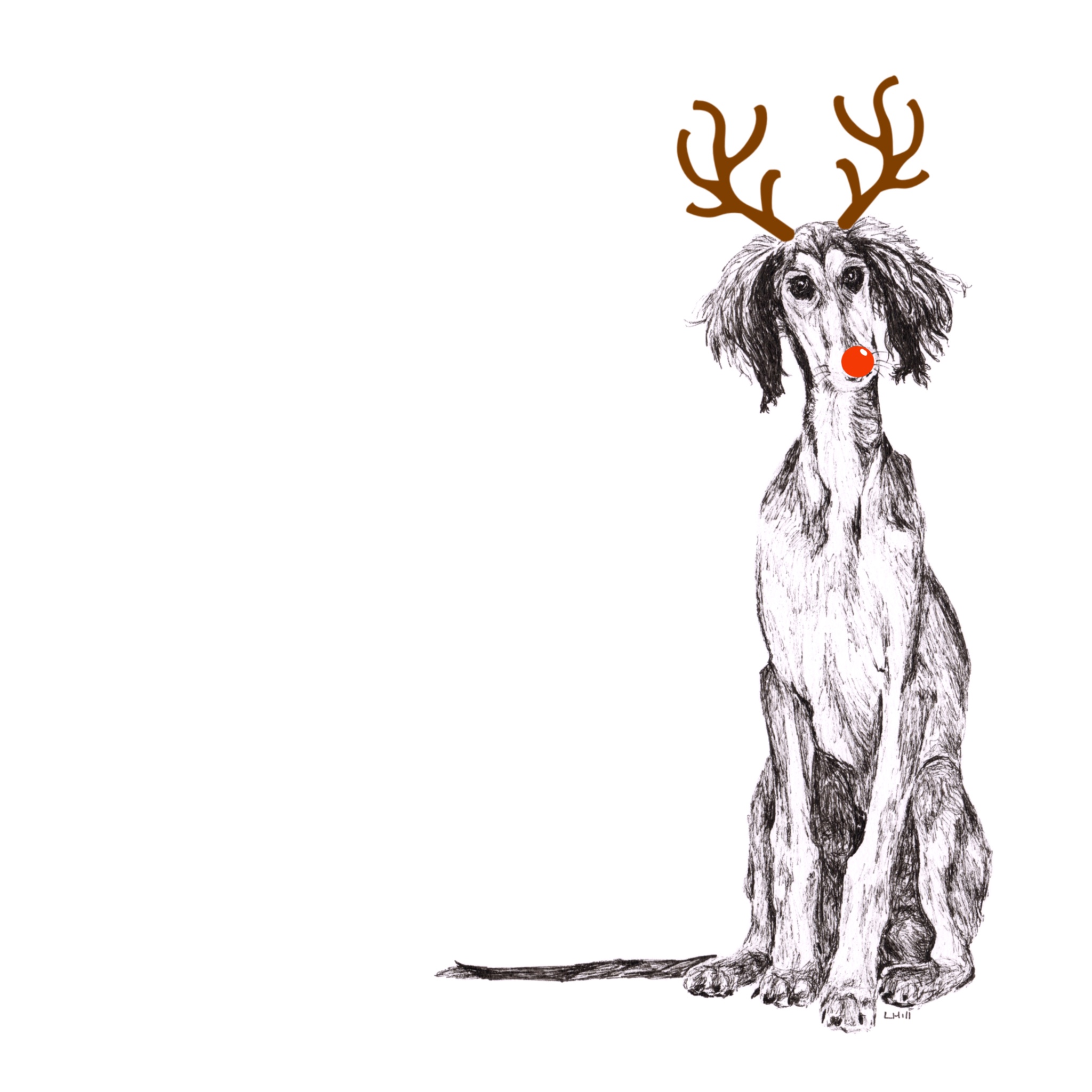 Saluki with reindeer antlers and red noseChristmas card by Louisa Hill