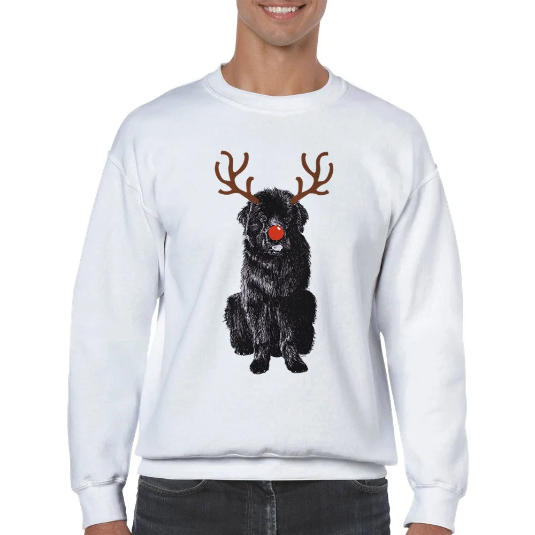 Newfoundland with reindeer antlers and red nose Christmas jumper by Louisa Hill