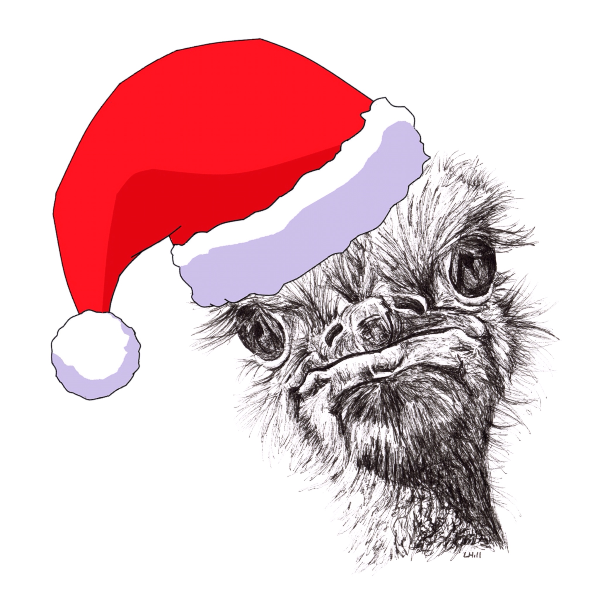 Ostrich with Santa hat Christmas card by Louisa Hill