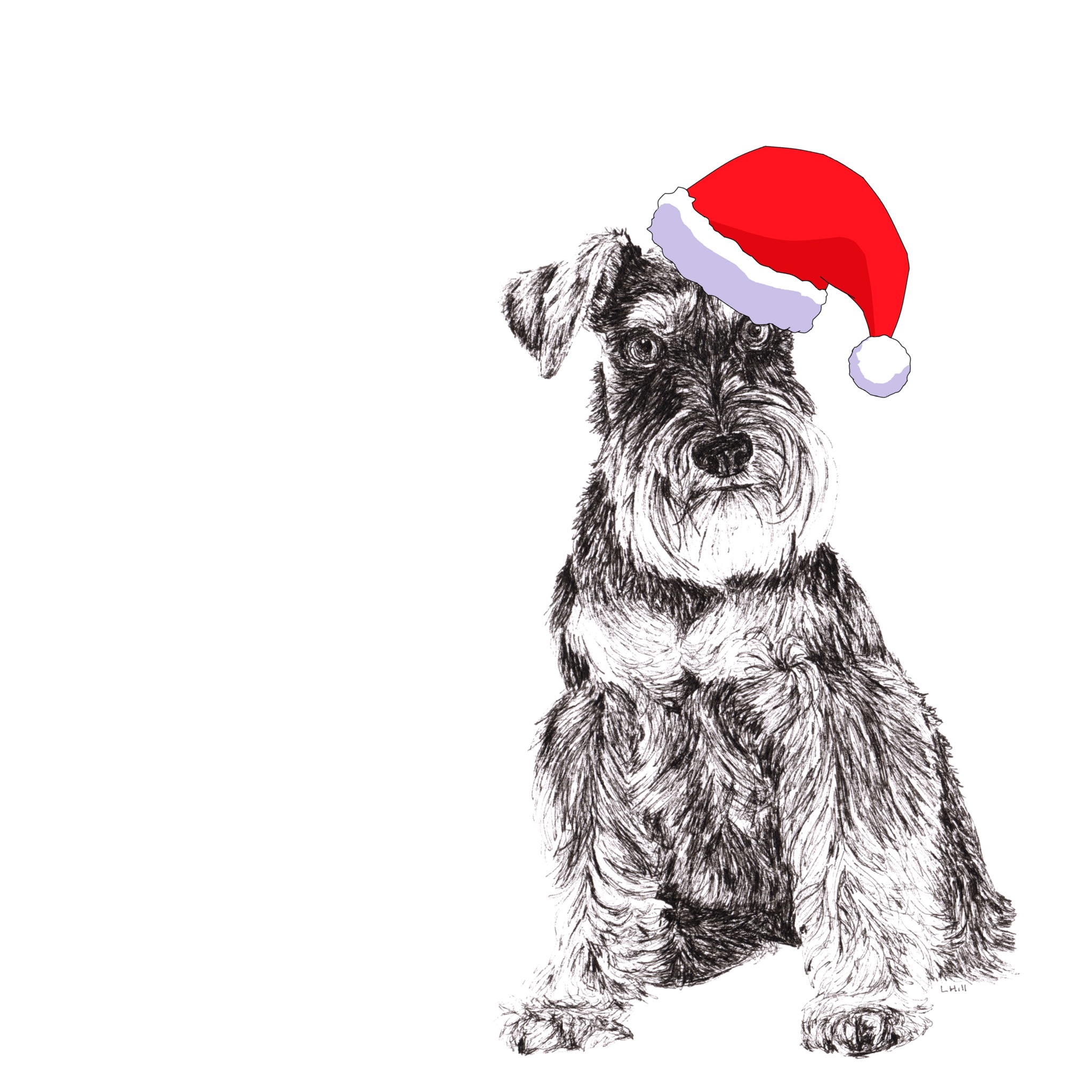 Schnauzer with Santa hat Christmas card by Louisa Hill