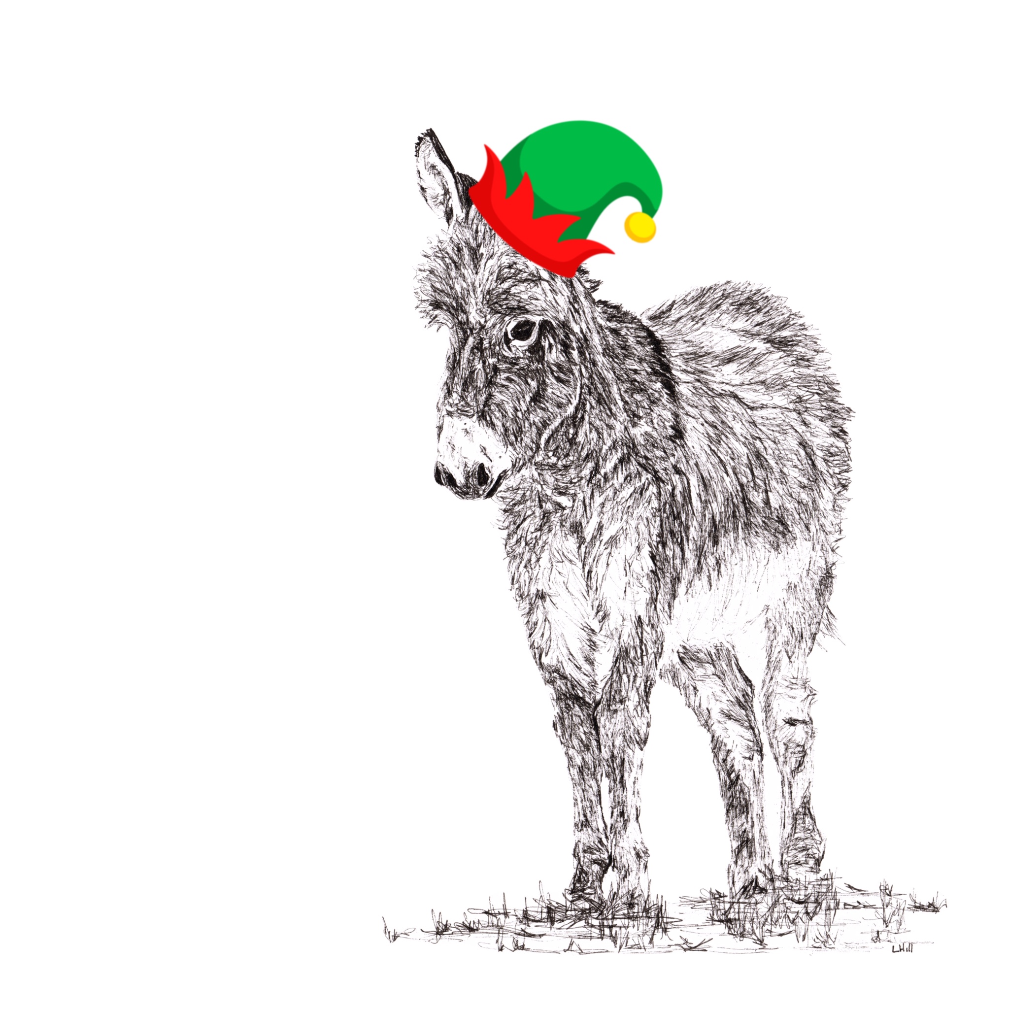 Donkey with santa hat Christmas card by Louisa Hill