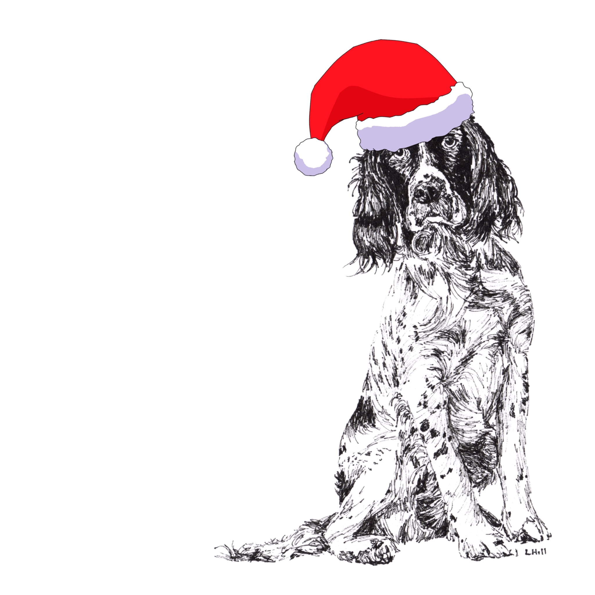 Springer Spaniel with Santa hat Christmas card by Louisa Hill