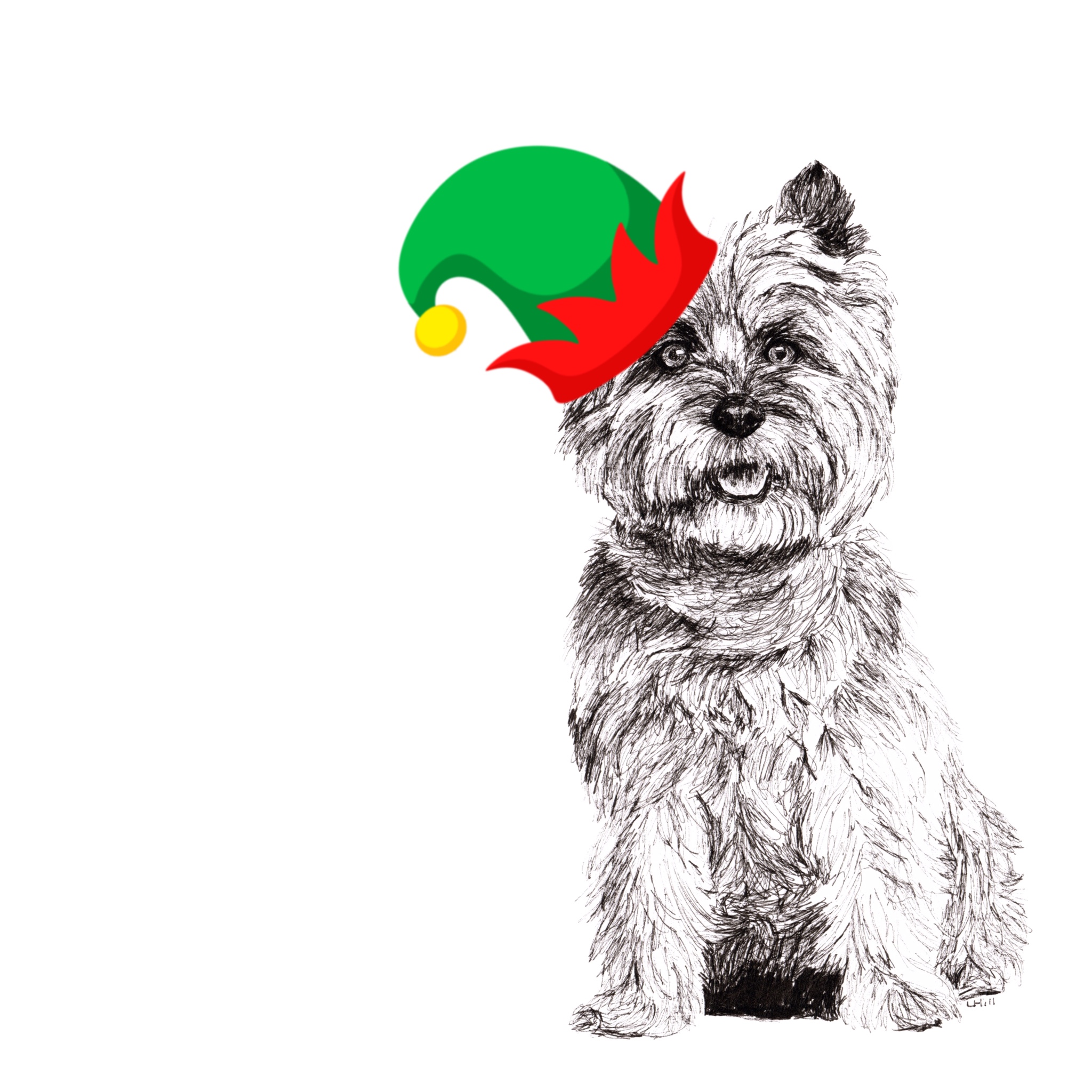 Cairn Terrier with Santa hat Christmas card by Louisa Hill