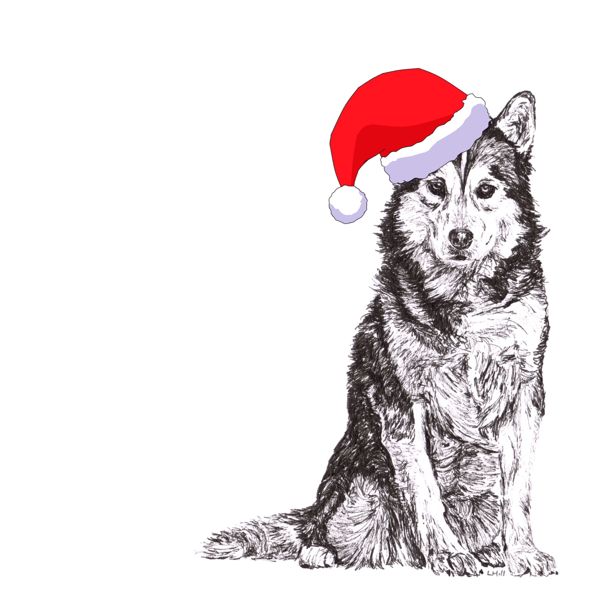 Siberian Husky with Santa hat Christmas card by Louisa Hill