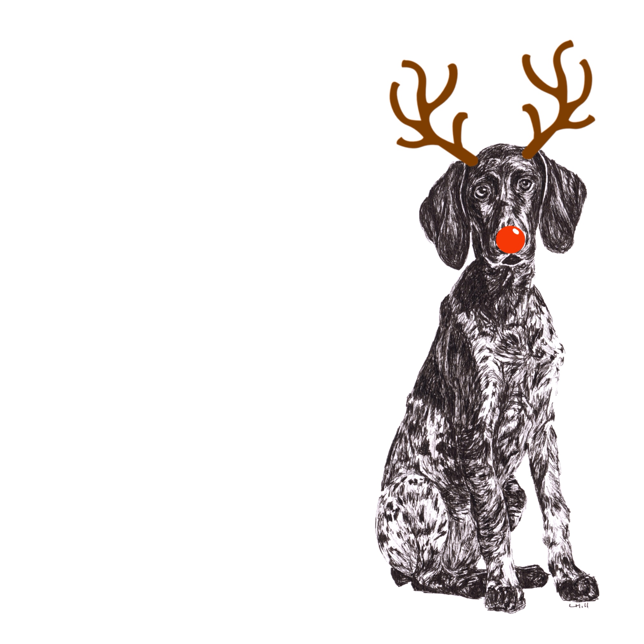 German Short Haired Pointer with reindeer antlers and red nose Christmas card by Louisa Hill