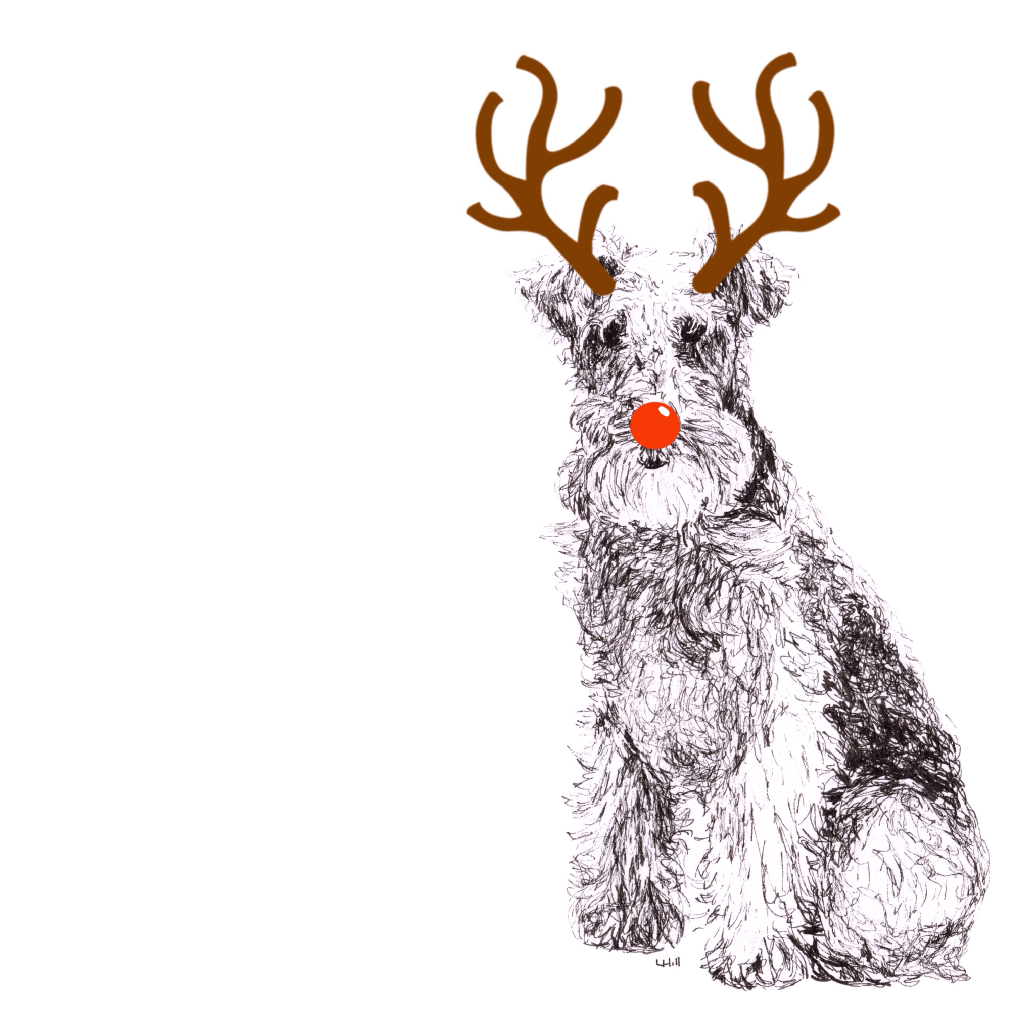 Lakeland Terrier with reindeer antlers and red nose Christmas card by Louisa Hill