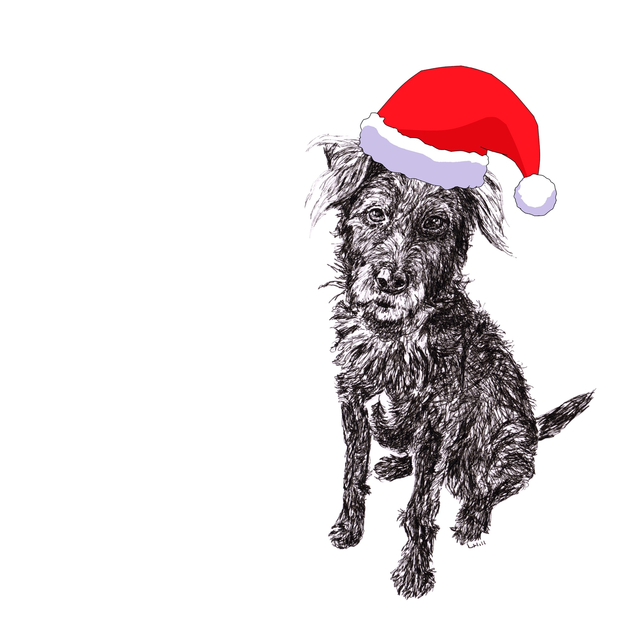 Patterdale Terrier with Santa hat Christmas card by Louisa Hill