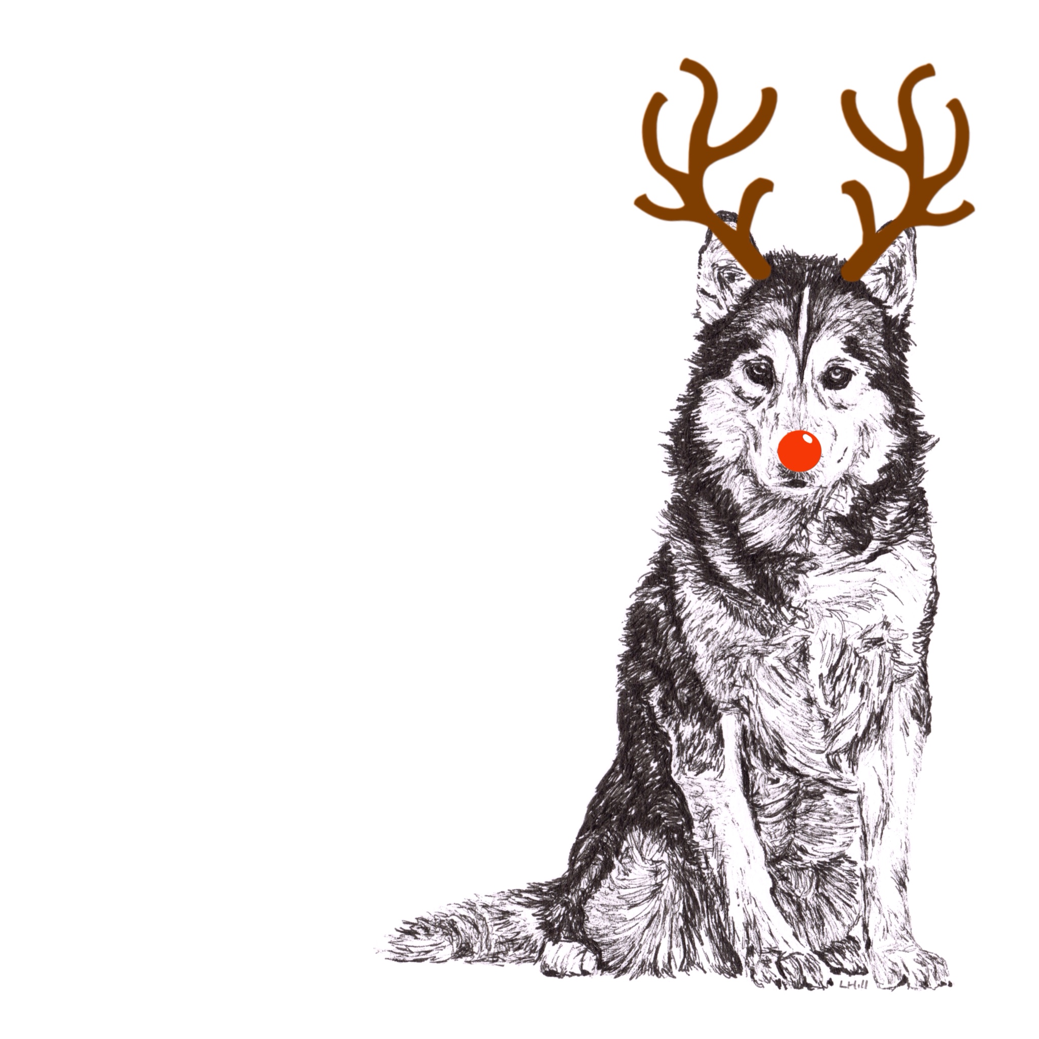 Siberian Husky with reindeer antlers and red nose Christmas card by Louisa Hill