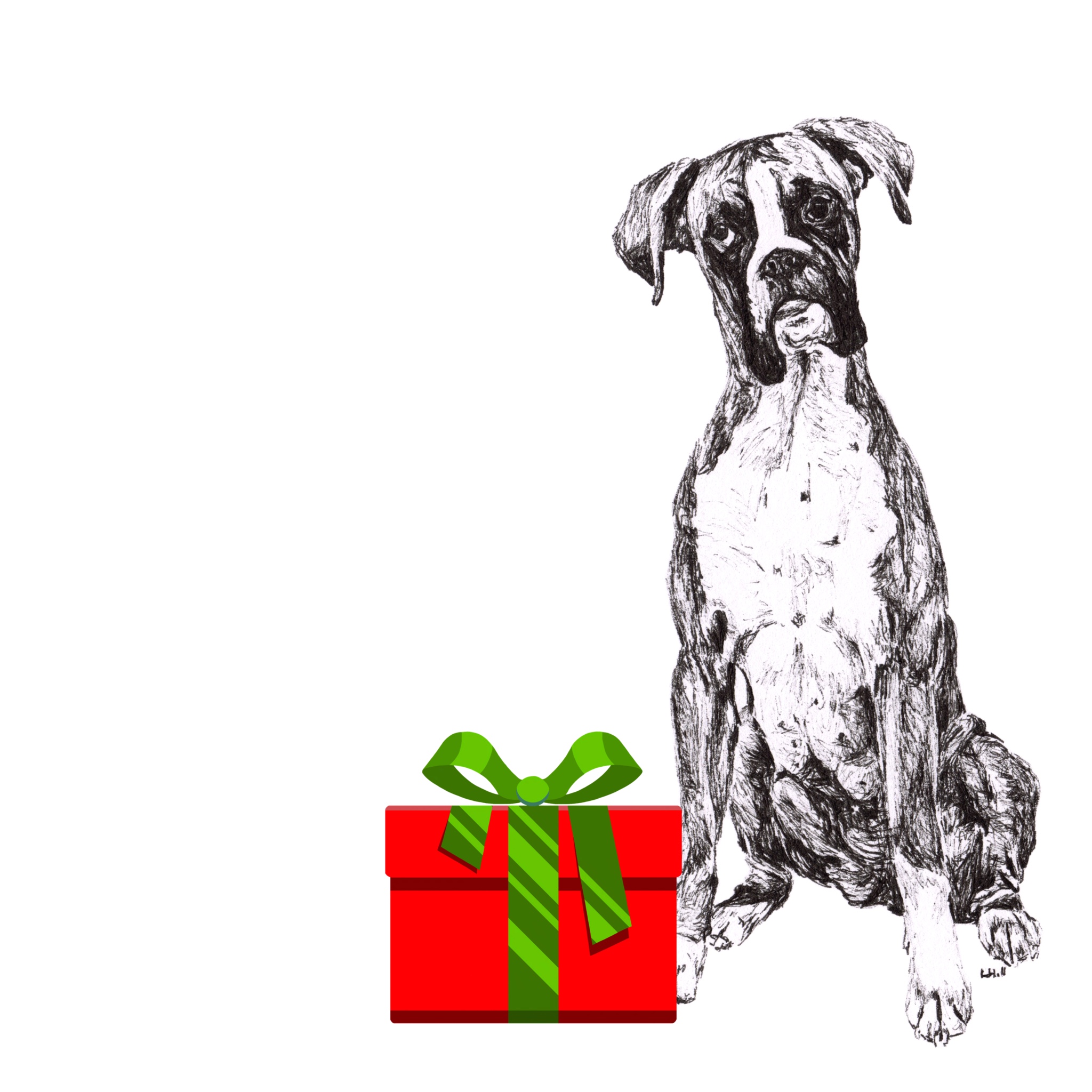 Boxer with Santa hat Christmas card by Louisa Hill