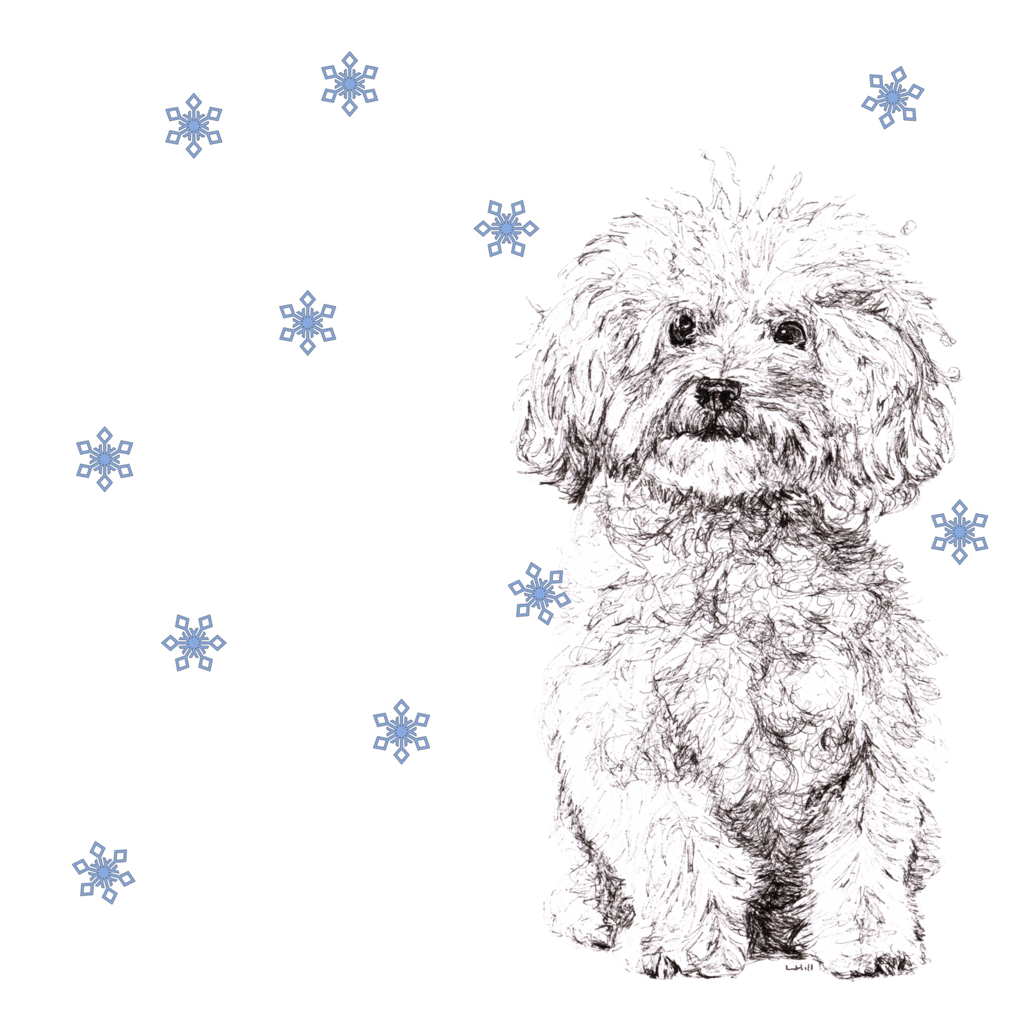 Bichon Frise with Santa hat Christmas card by Louisa Hill