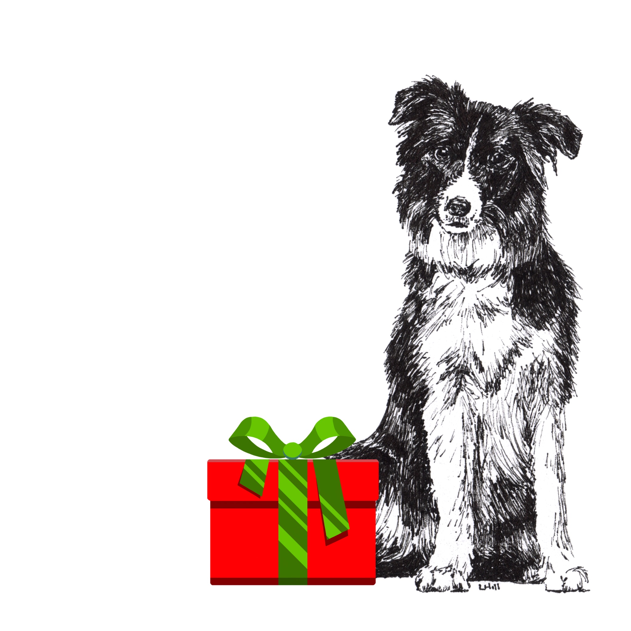 Border Collie with Santa hat Christmas card by Louisa Hill