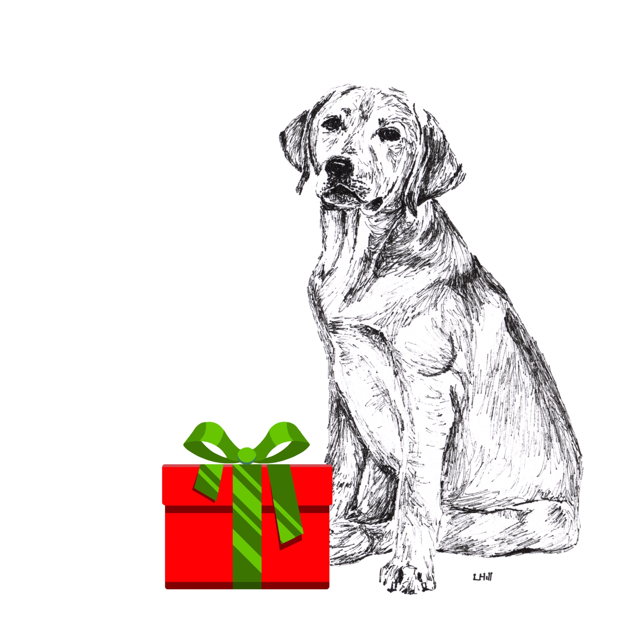 Labrador with reindeer antlers and red nose Christmas card by Louisa Hill