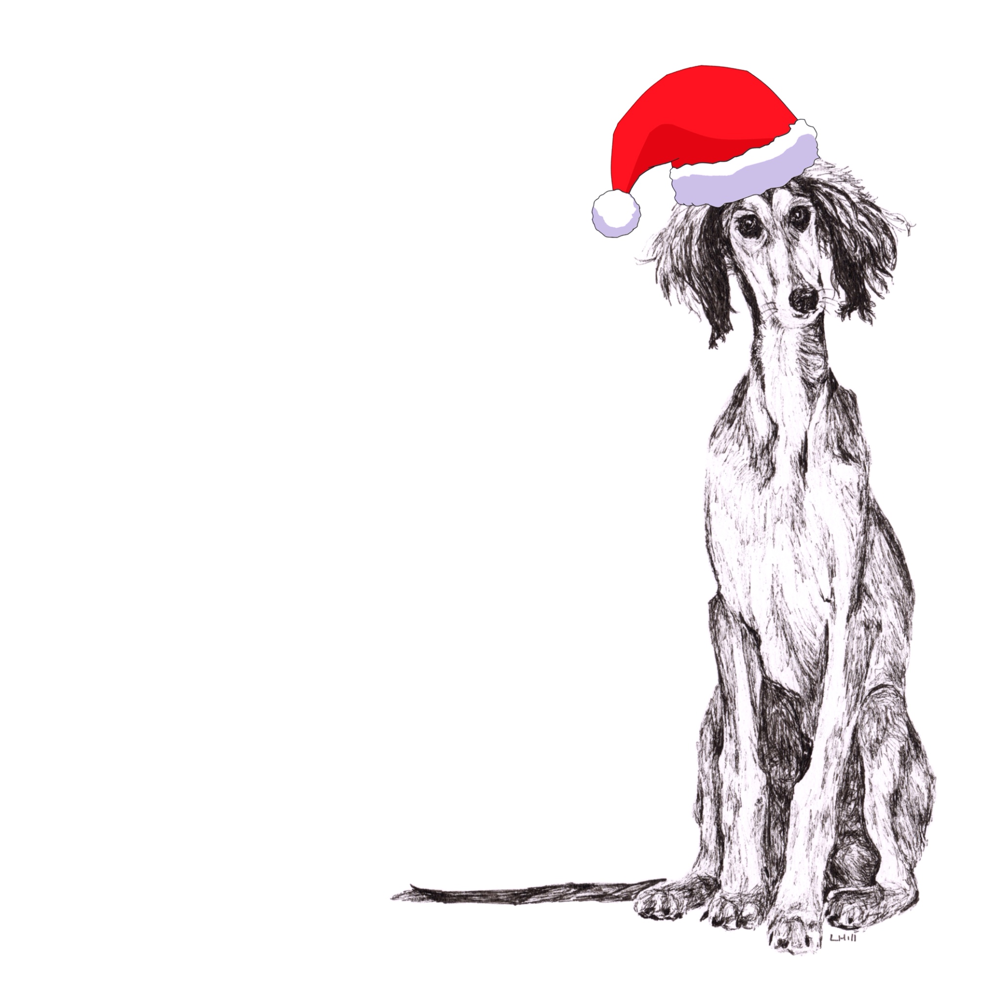 Saluki with Santa hat Christmas card by Louisa Hill