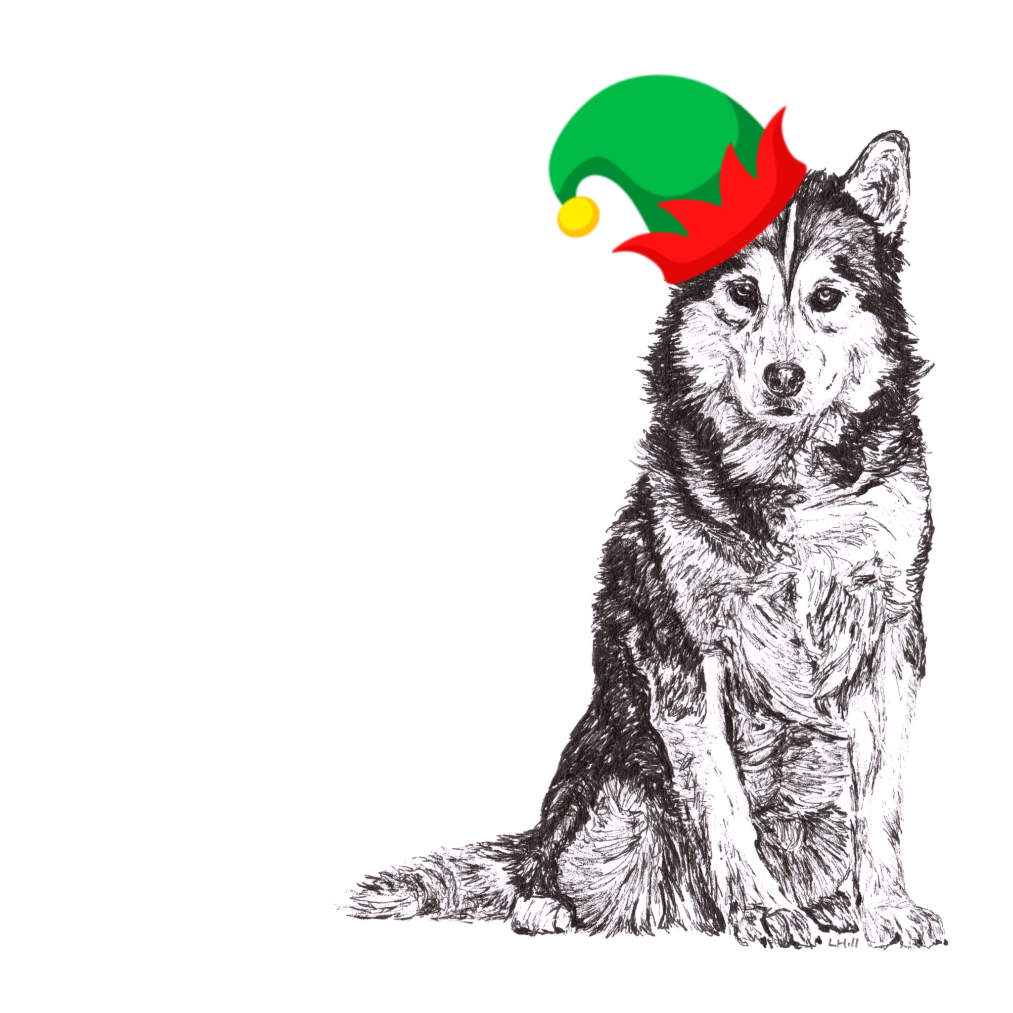 Siberian Husky with Santa hat Christmas card by Louisa Hill