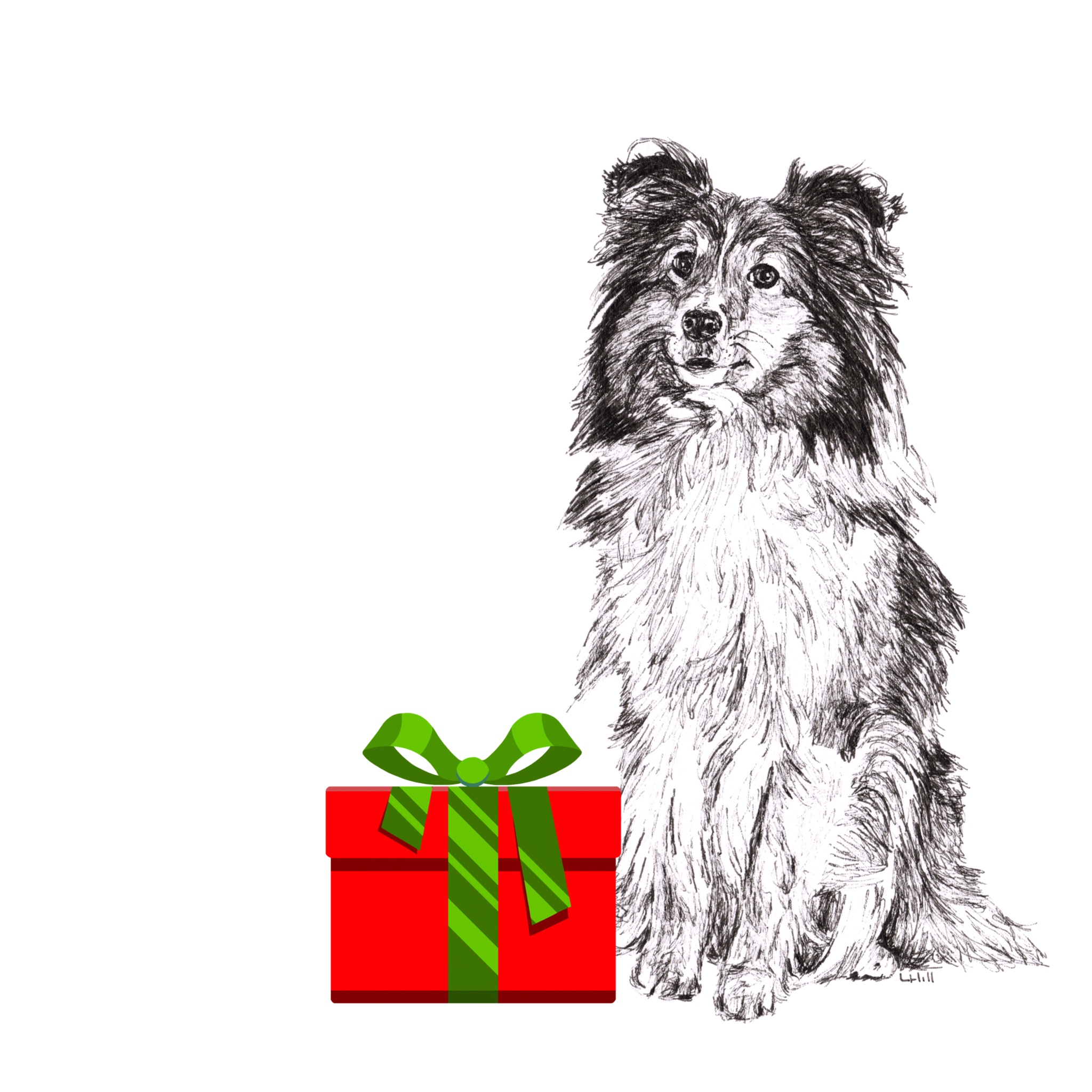 Shetland Sheepdog with Santa hat Christmas card by Louisa Hill