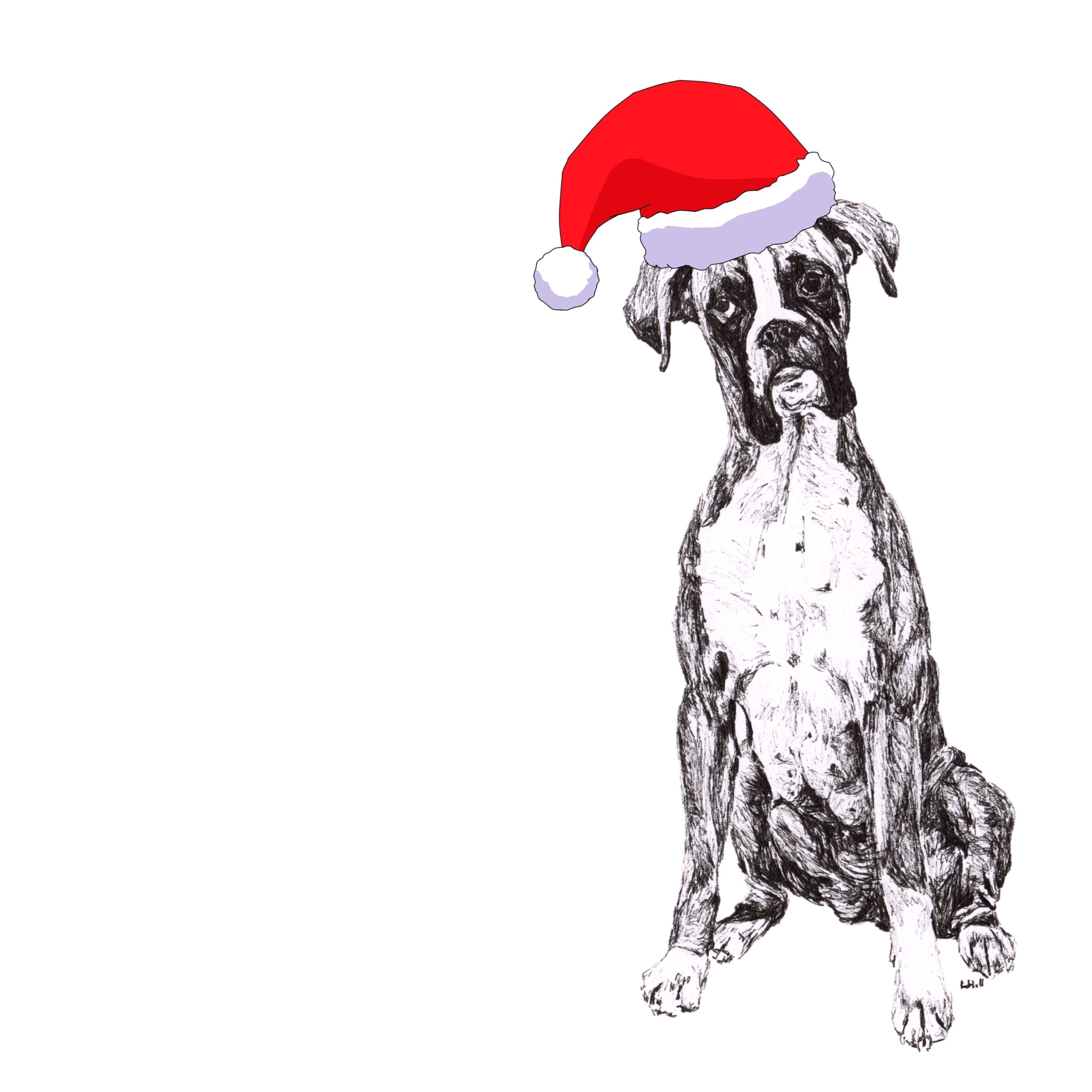 Boxer with Santa hat Christmas card by Louisa Hill