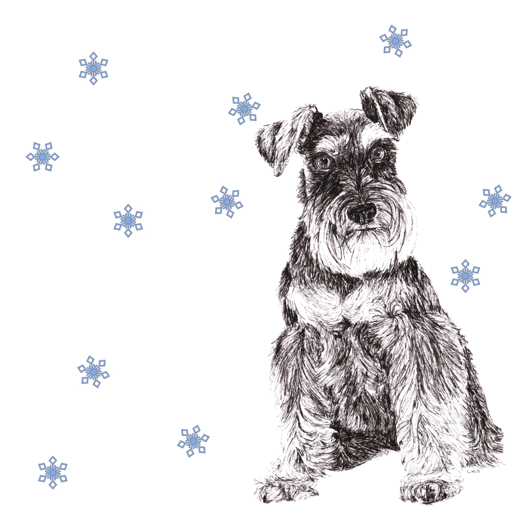 Schnauzer with reindeer antlers and red noseChristmas card by Louisa Hill