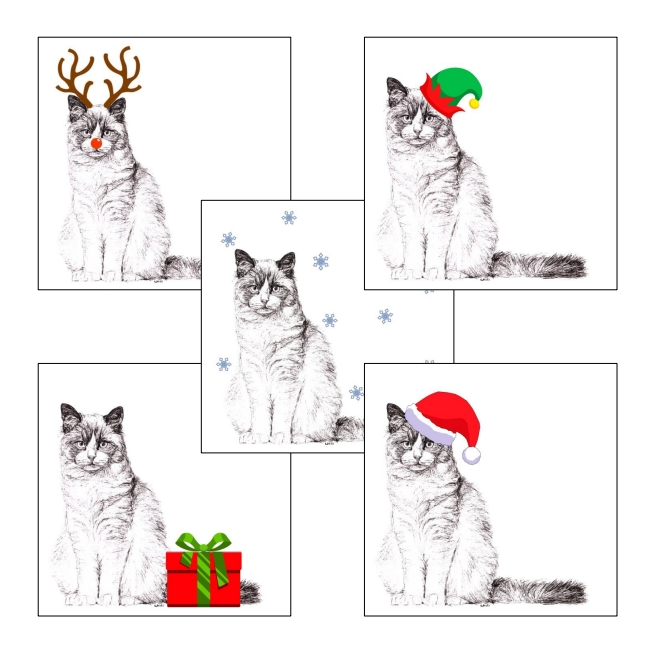 Ragdoll with santa hat Christmas card by Louisa Hill