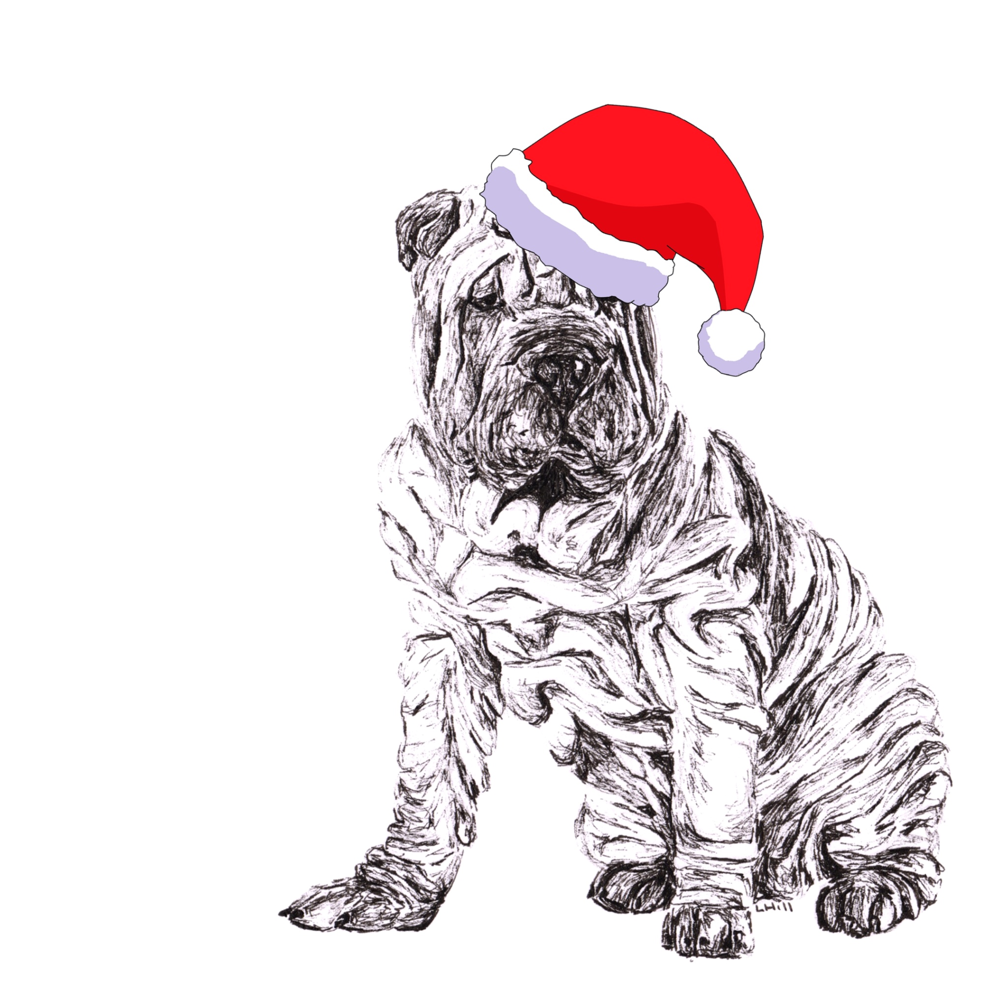 Shar Pei with Santa hat Christmas card by Louisa Hill