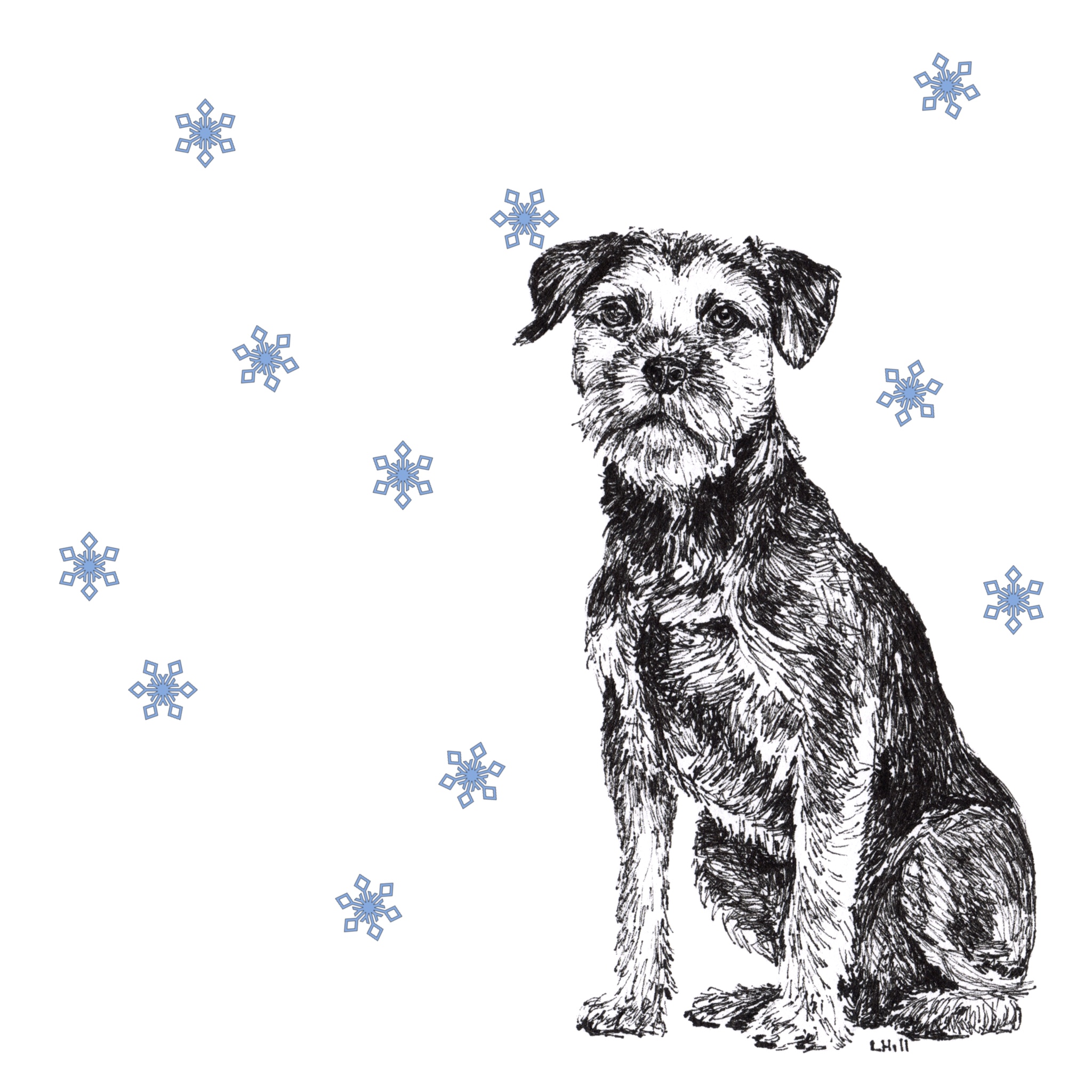 Border Terrier with Santa hat Christmas card by Louisa Hill