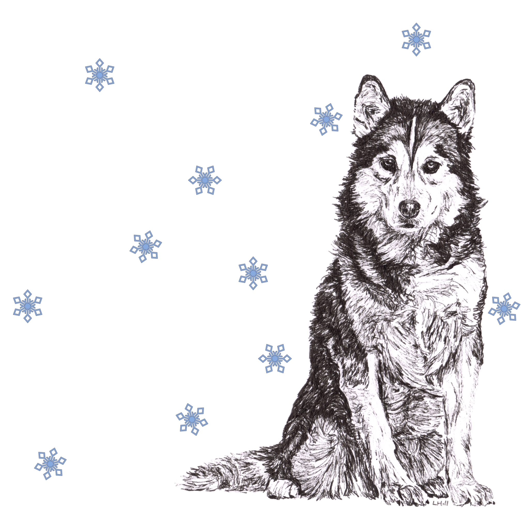 Siberian Husky with reindeer antlers and red nose Christmas card by Louisa Hill