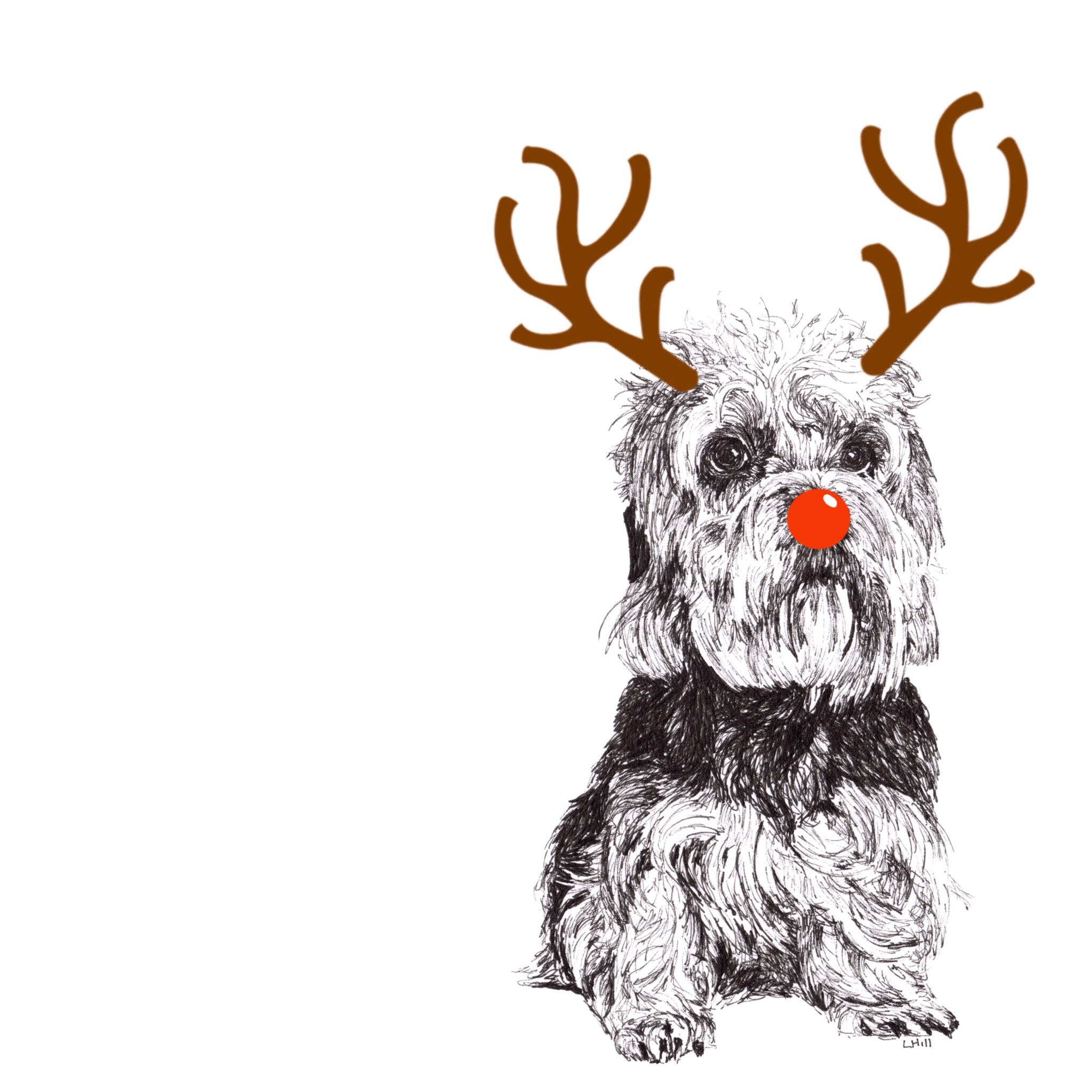 Dandie Dinmont Terrier with reindeer antlers and red nose Christmas card by Louisa Hill