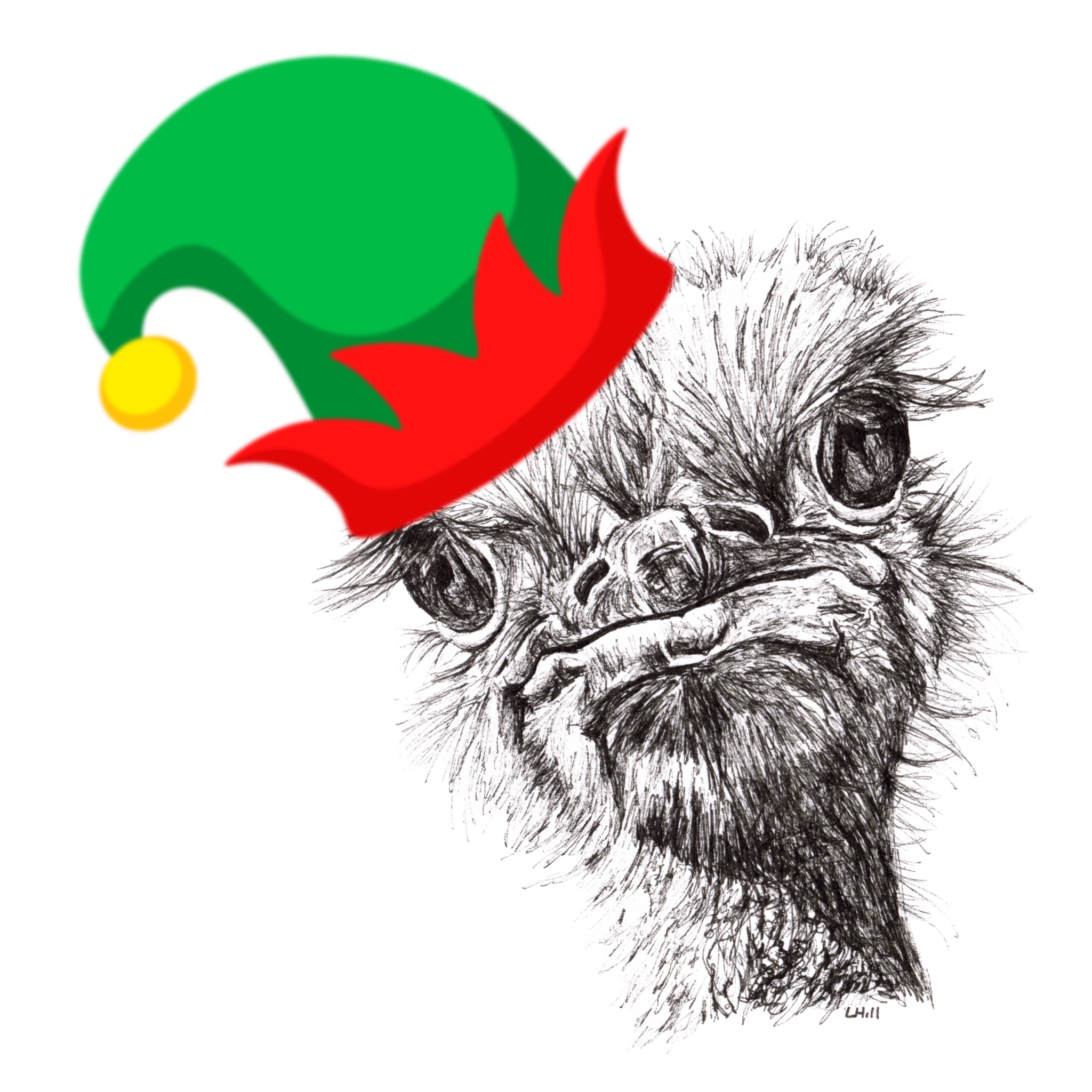 Ostrich with Santa hat Christmas card by Louisa Hill