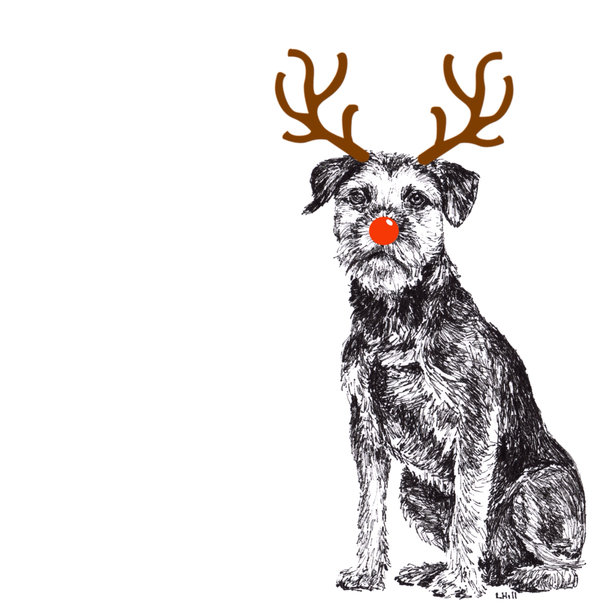 Border Terrier with Reindeer antlers and red nose Christmas card by Louisa Hill