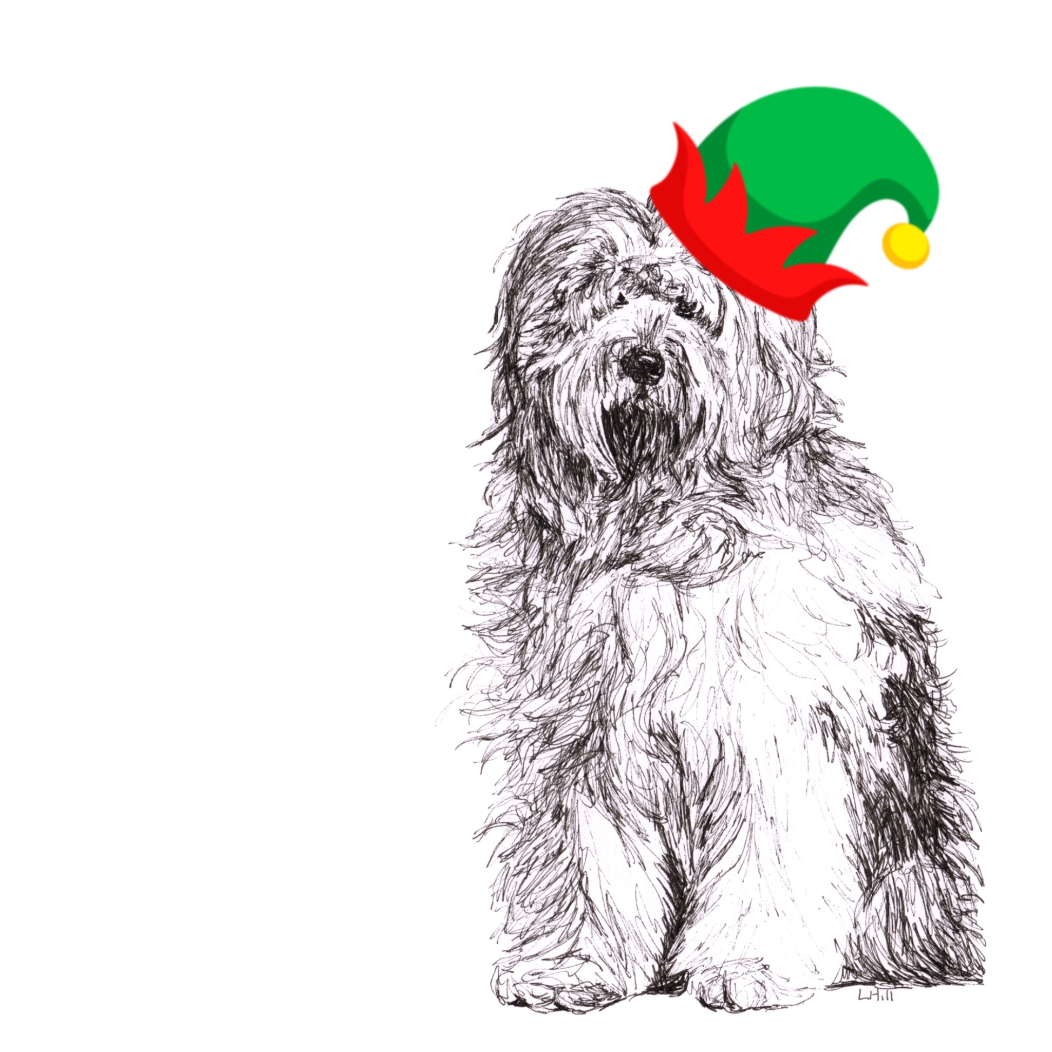 Old English Sheepdog with reindeer antlers and red nose Christmas card by Louisa Hill